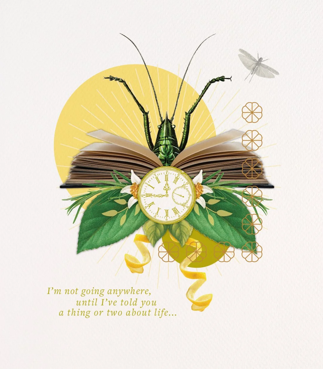 Collage Illustration Pinocchio Wines