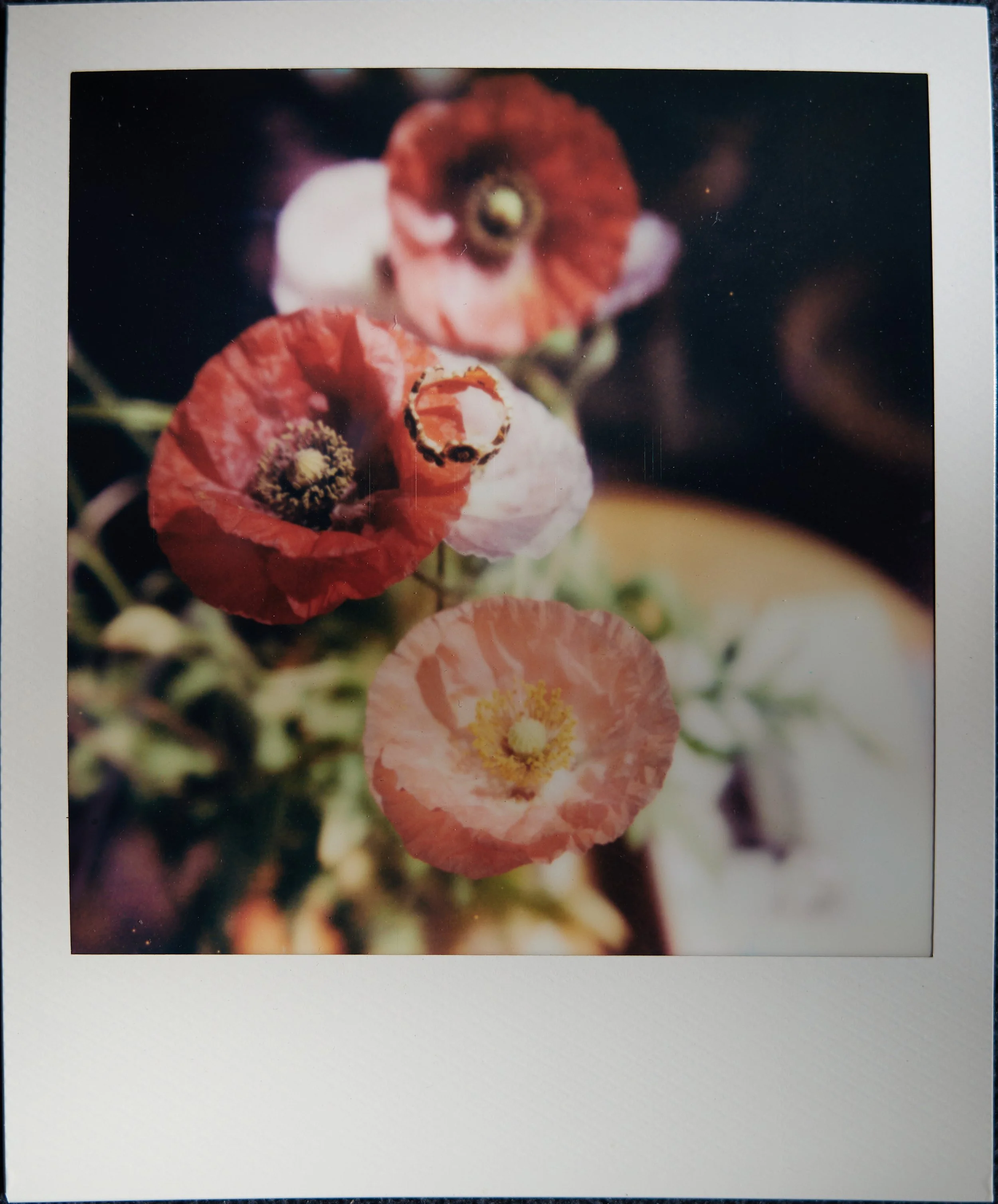 2026-04-17 17.25.33.jpg