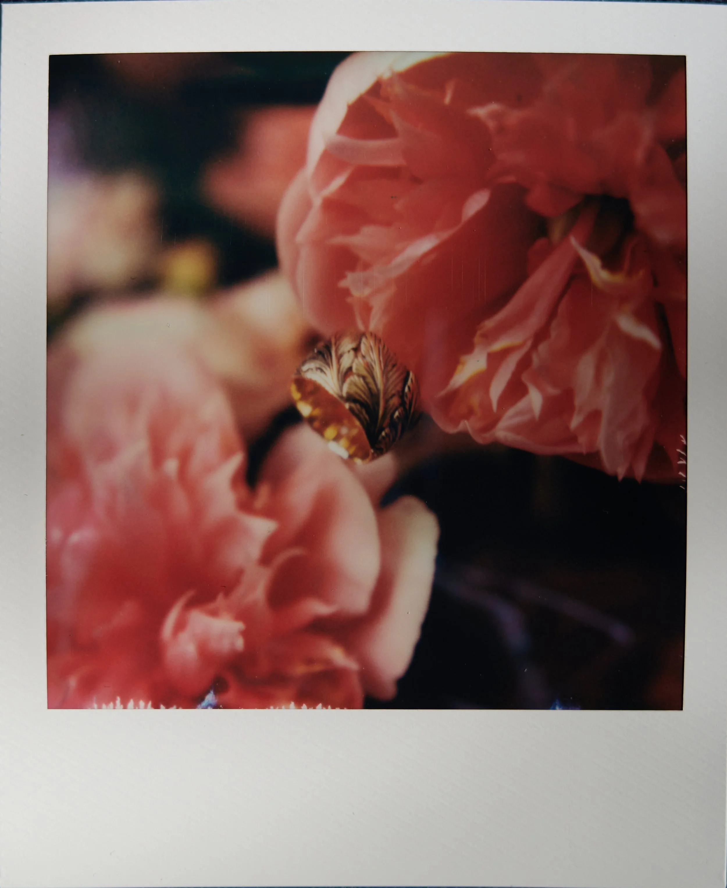 2026-04-17 17.25.26.jpg