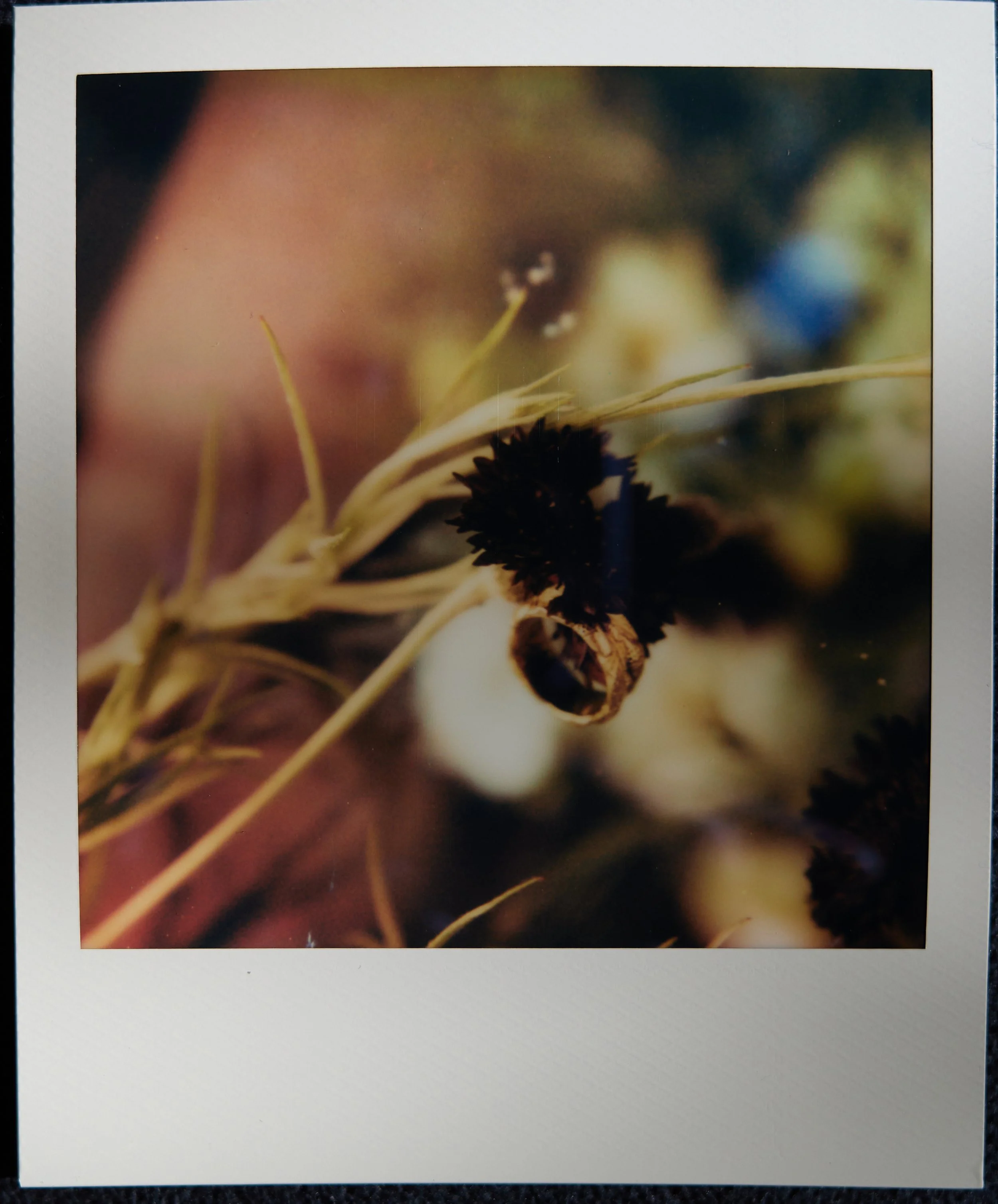 2026-04-17 17.25.40.jpg