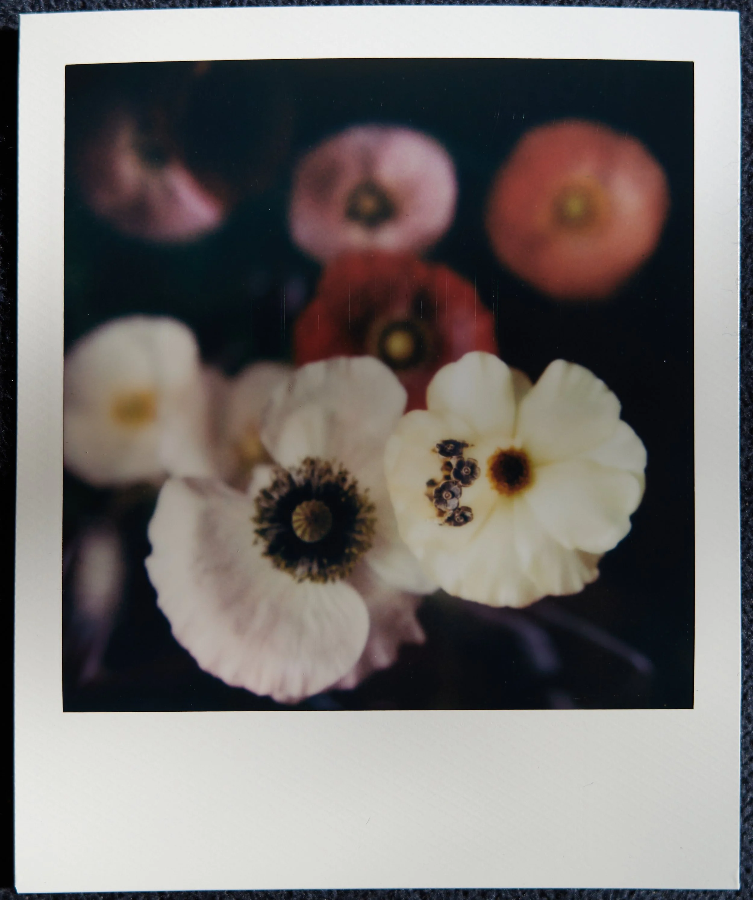 2026-04-17 17.25.45.jpg