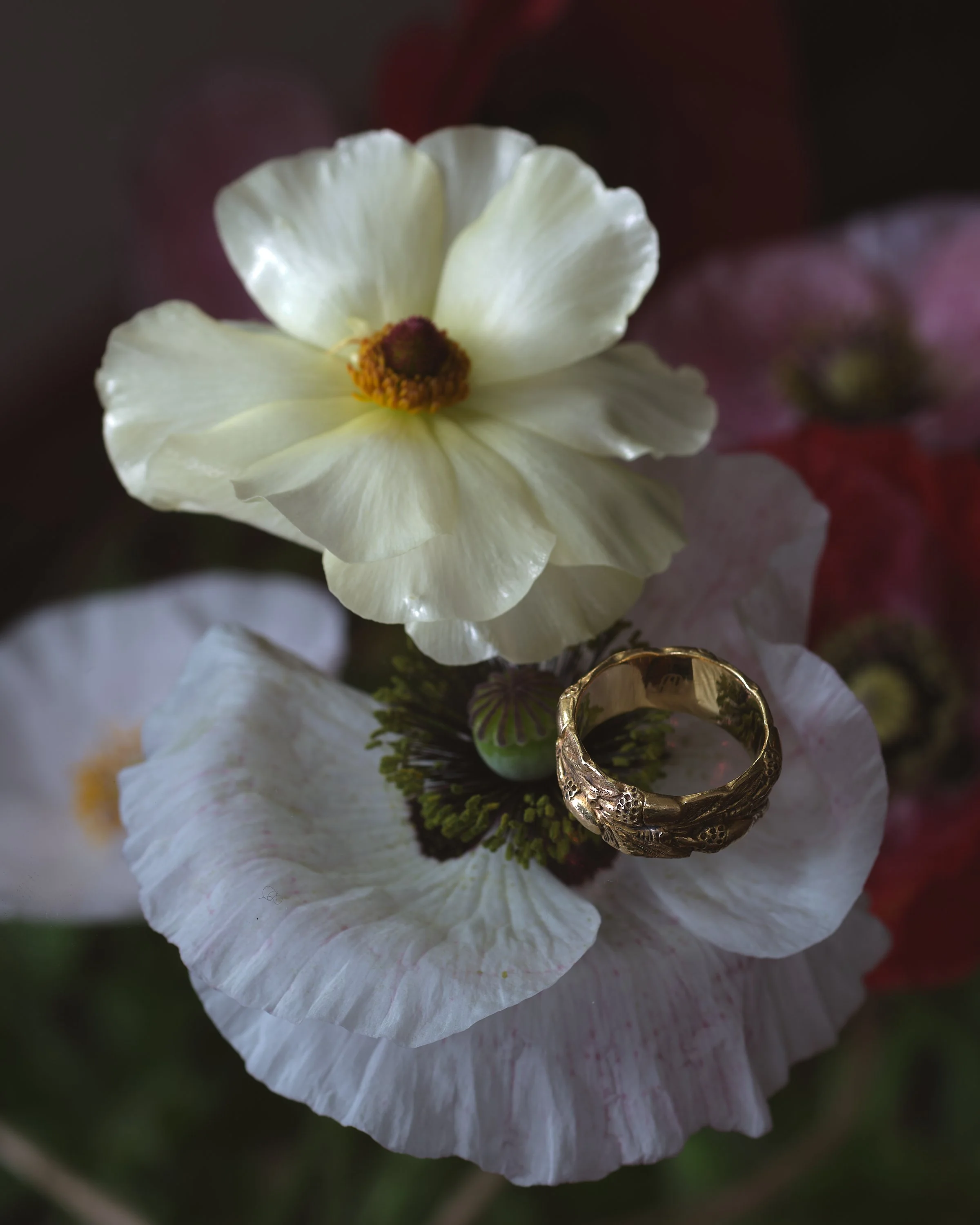 Untitled Capture28908.jpg