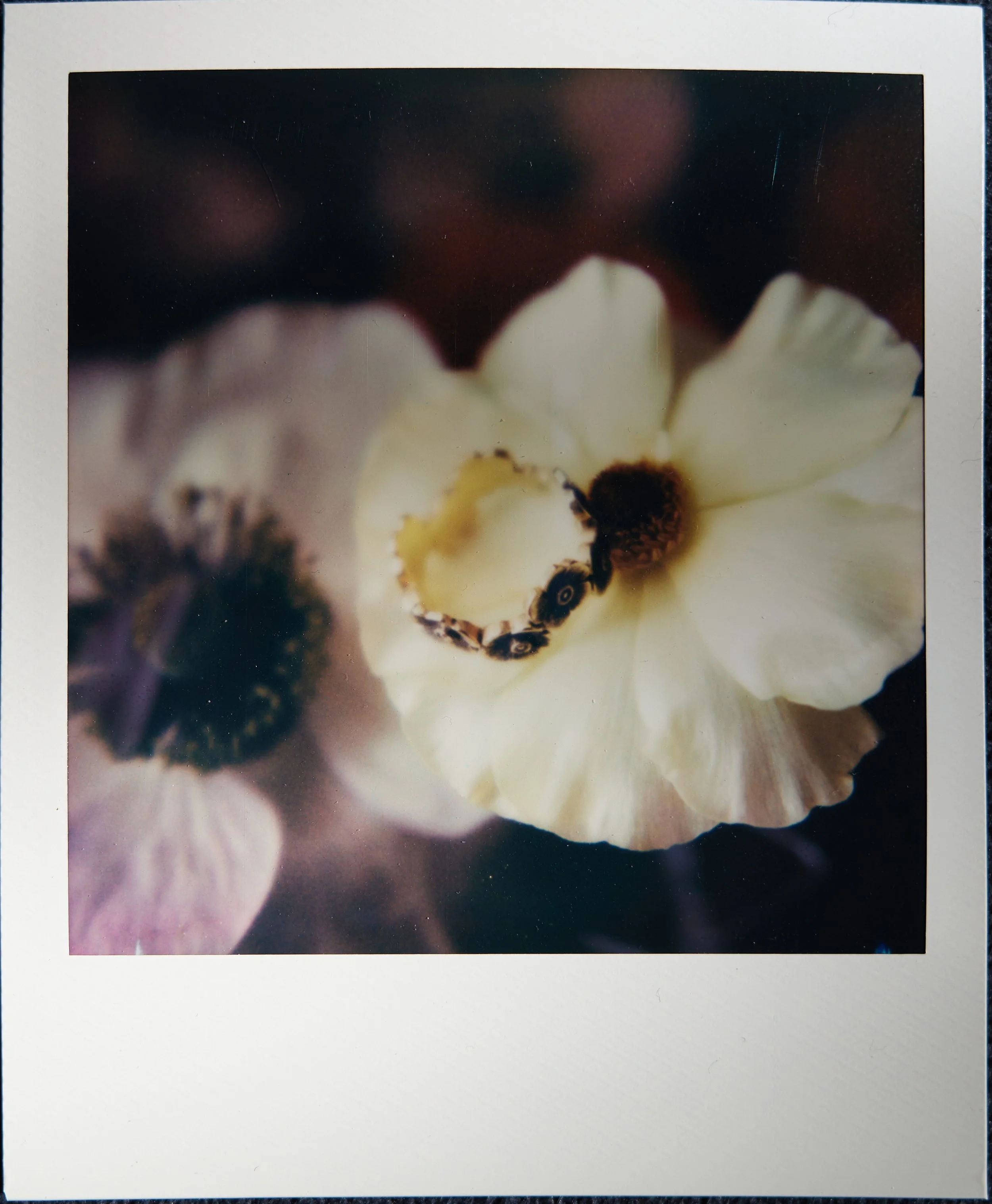 2026-04-17 17.25.18.jpg