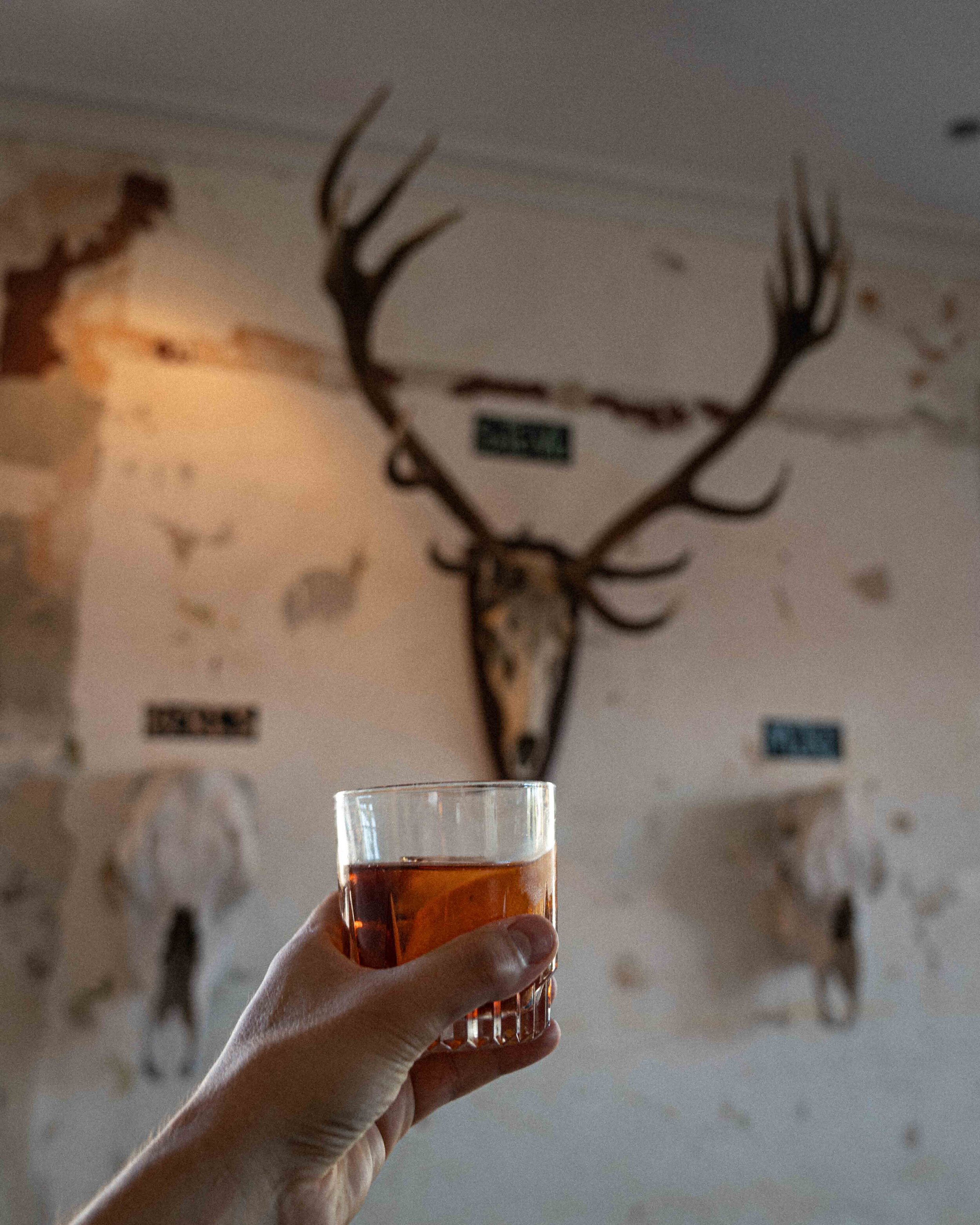 Cheers to Skulls.jpg