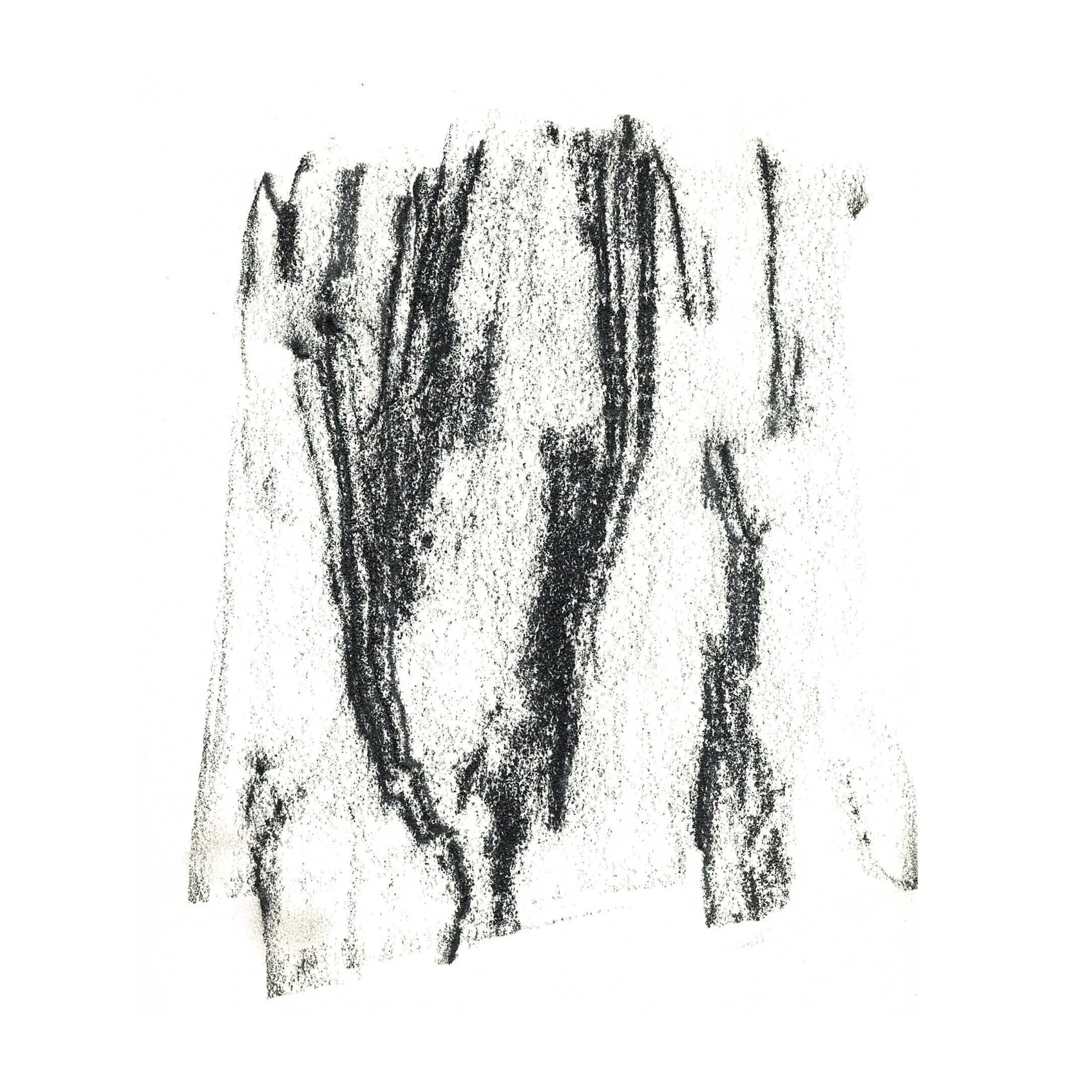 Tree print banner.jpg