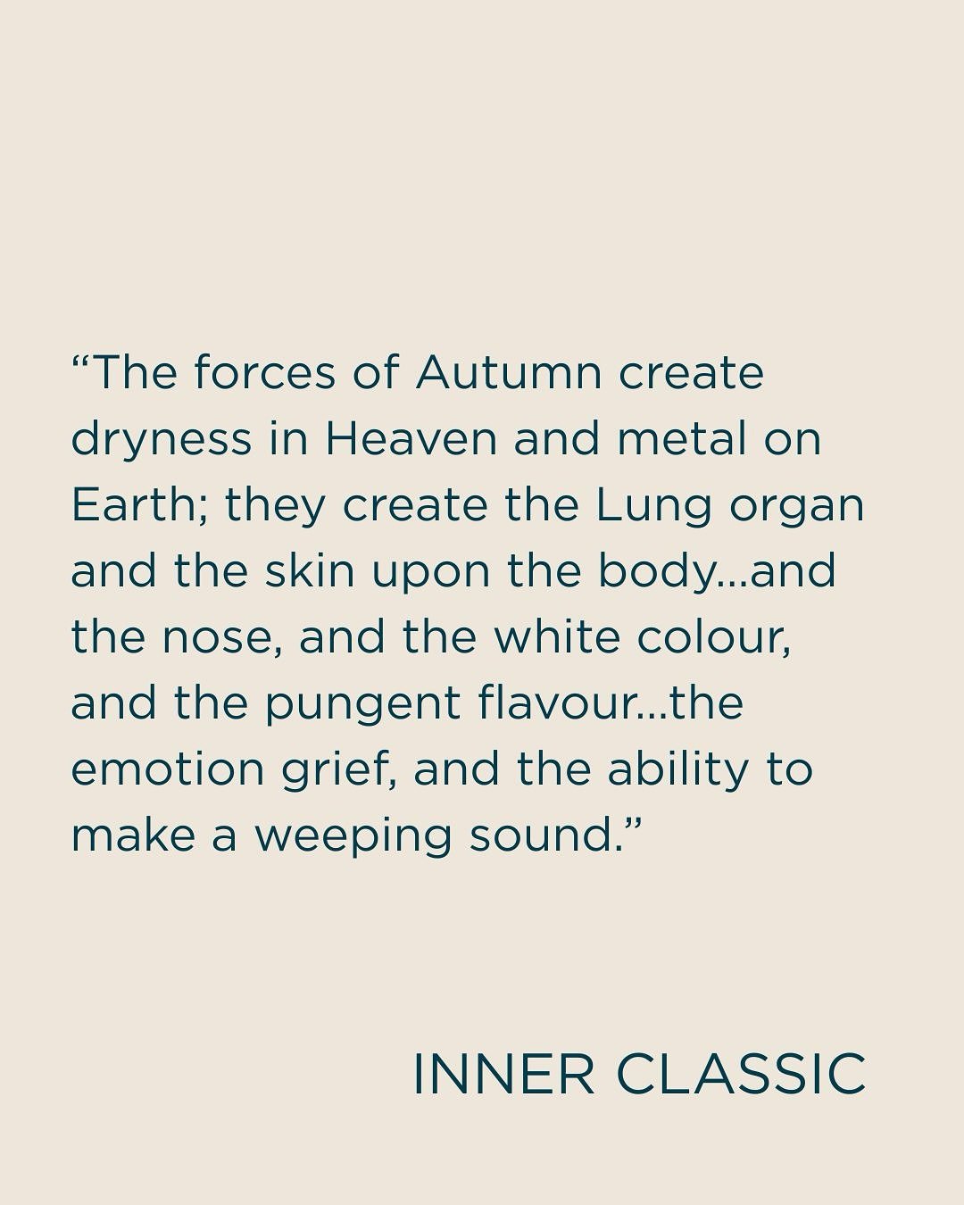 About Autumn (and some dietary tips) 🍂

&ldquo;The forces of Autumn create dryness in Heaven and metal on Earth; they create the Lung organ and the skin upon the body&hellip;and the nose, and the white colour, and the pungent flavour&hellip;the emot