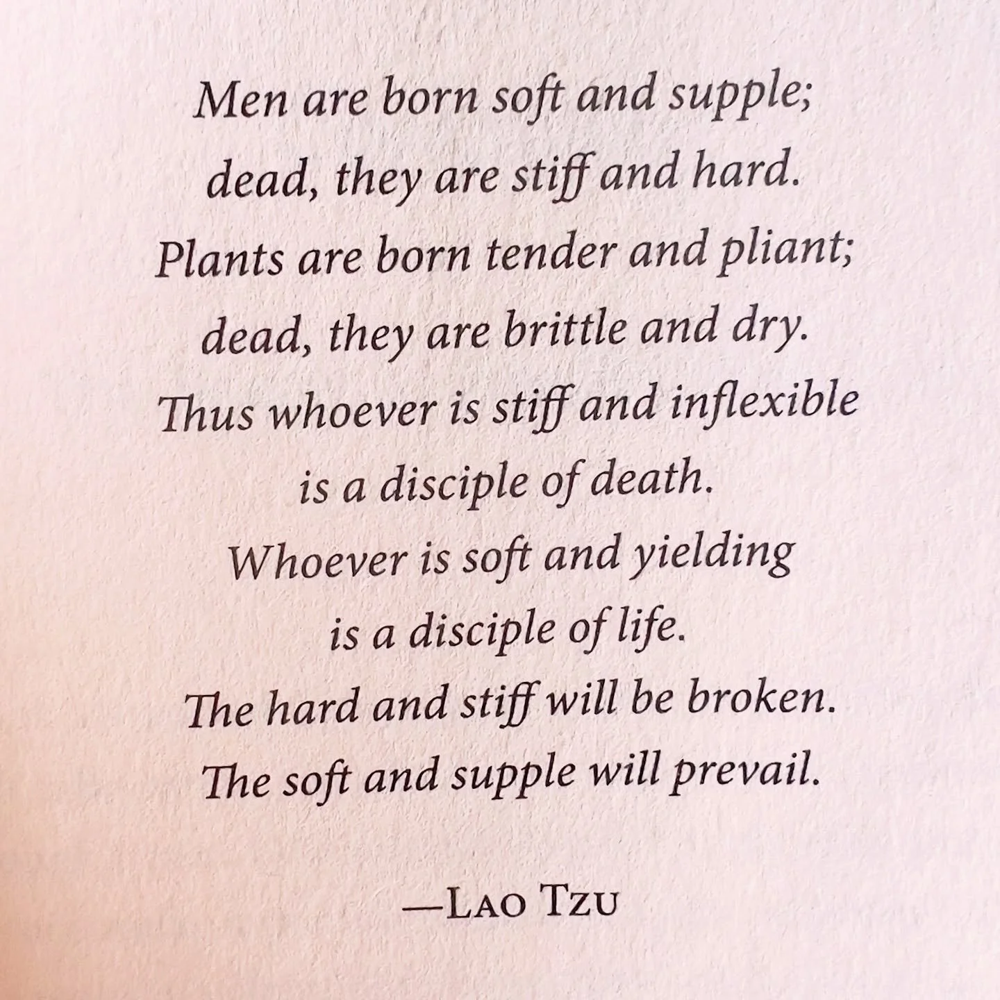 Thinking about recent events, I wonder how we got here. Supposedly we are more evolved than our forebears, yet here we are, ancient history playing out again. 

Then I stumbled upon this quote which, to me, explains how we can get stuck. Rigidity. 

