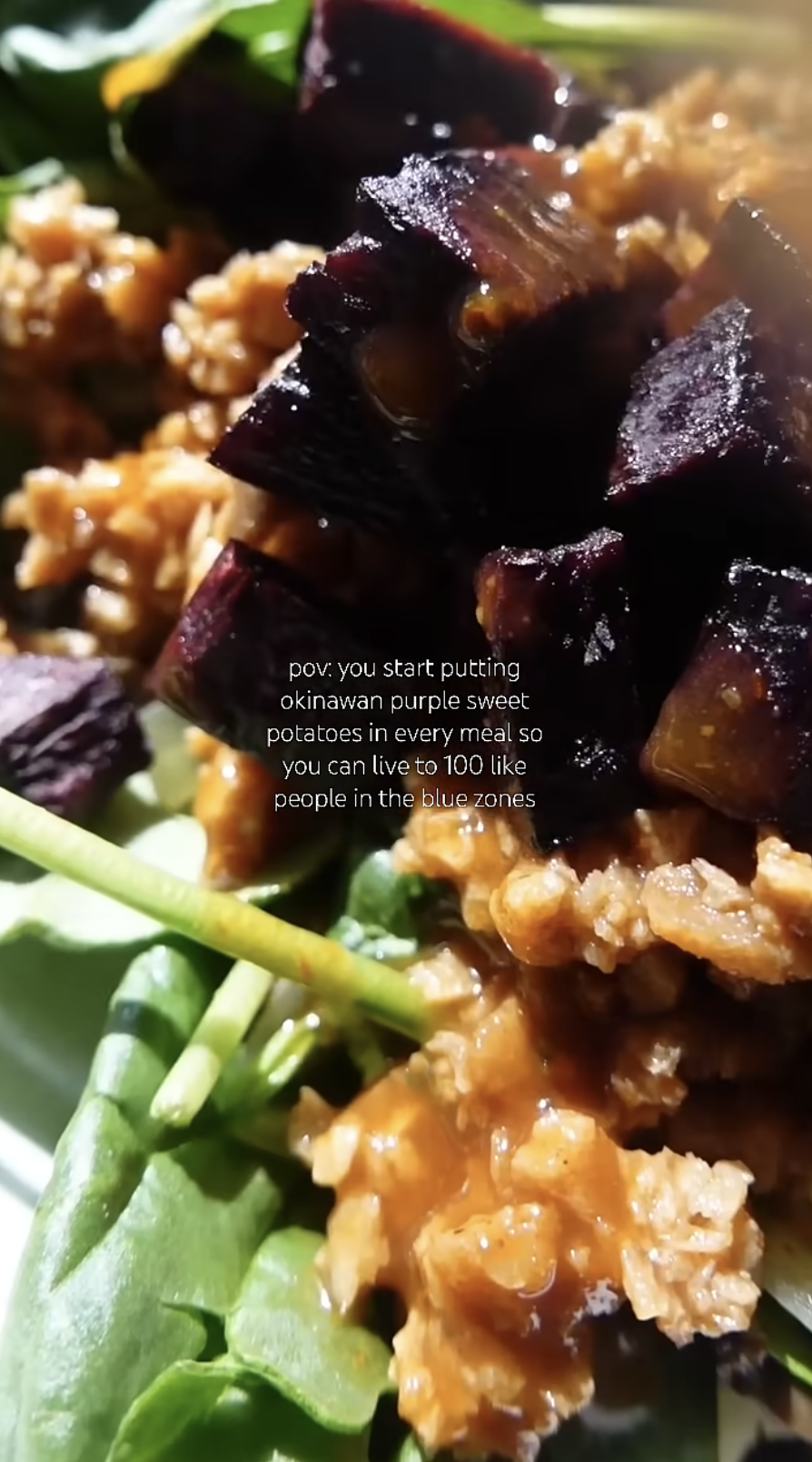 Blue Zone Inspired Burrito Bowl