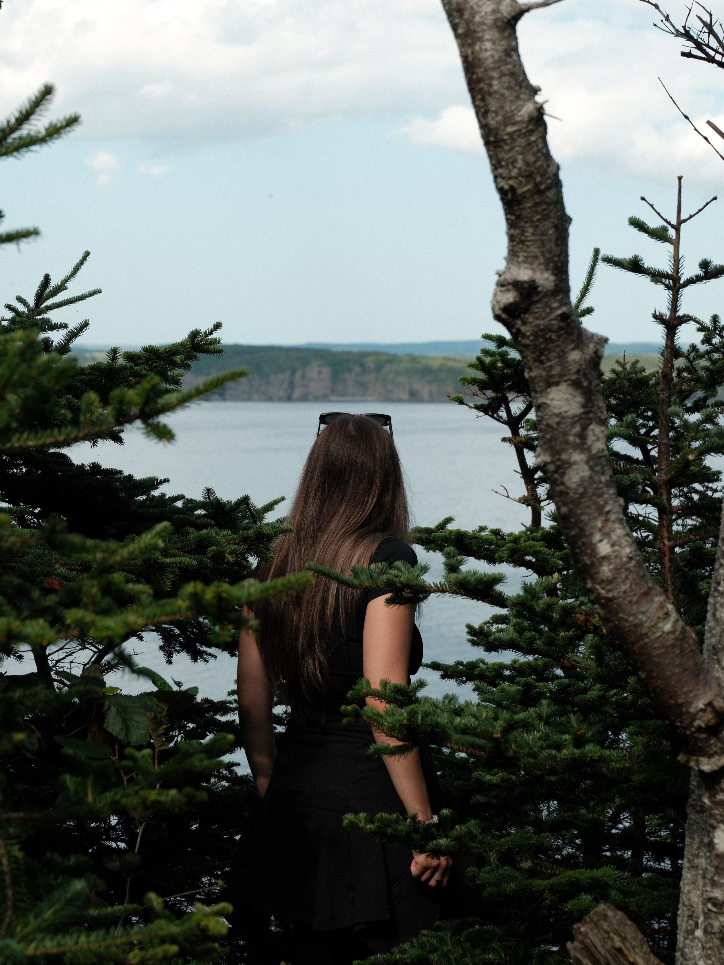 one of the most beautiful trails in north america (and that I&rsquo;ve ever been on!!!!) you know those hikes with a billion lookouts that you need to stop and see every one, this is that hike!!!!!

once I found out about our surprise trip to newfoun