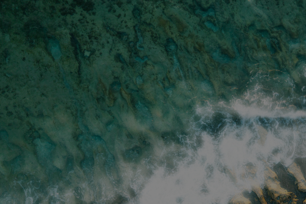 $1.4B Loxahatchee Capital Launches with Minority Stake Investment from Elevation Point