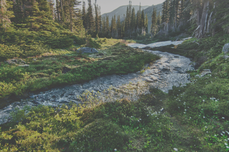 Elevation Point Announces Strategic Minority Investment in Waycrest Wealth, $1B Michigan-Based Breakaway Team