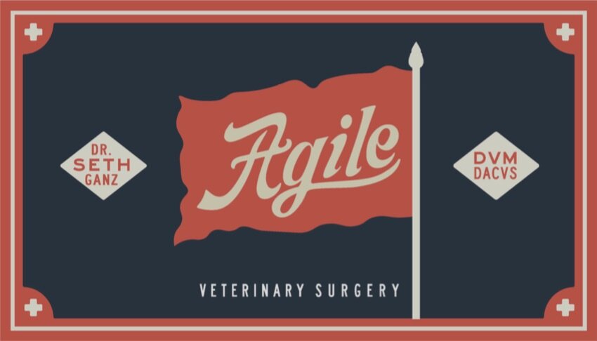 Agile Veterinary Surgery