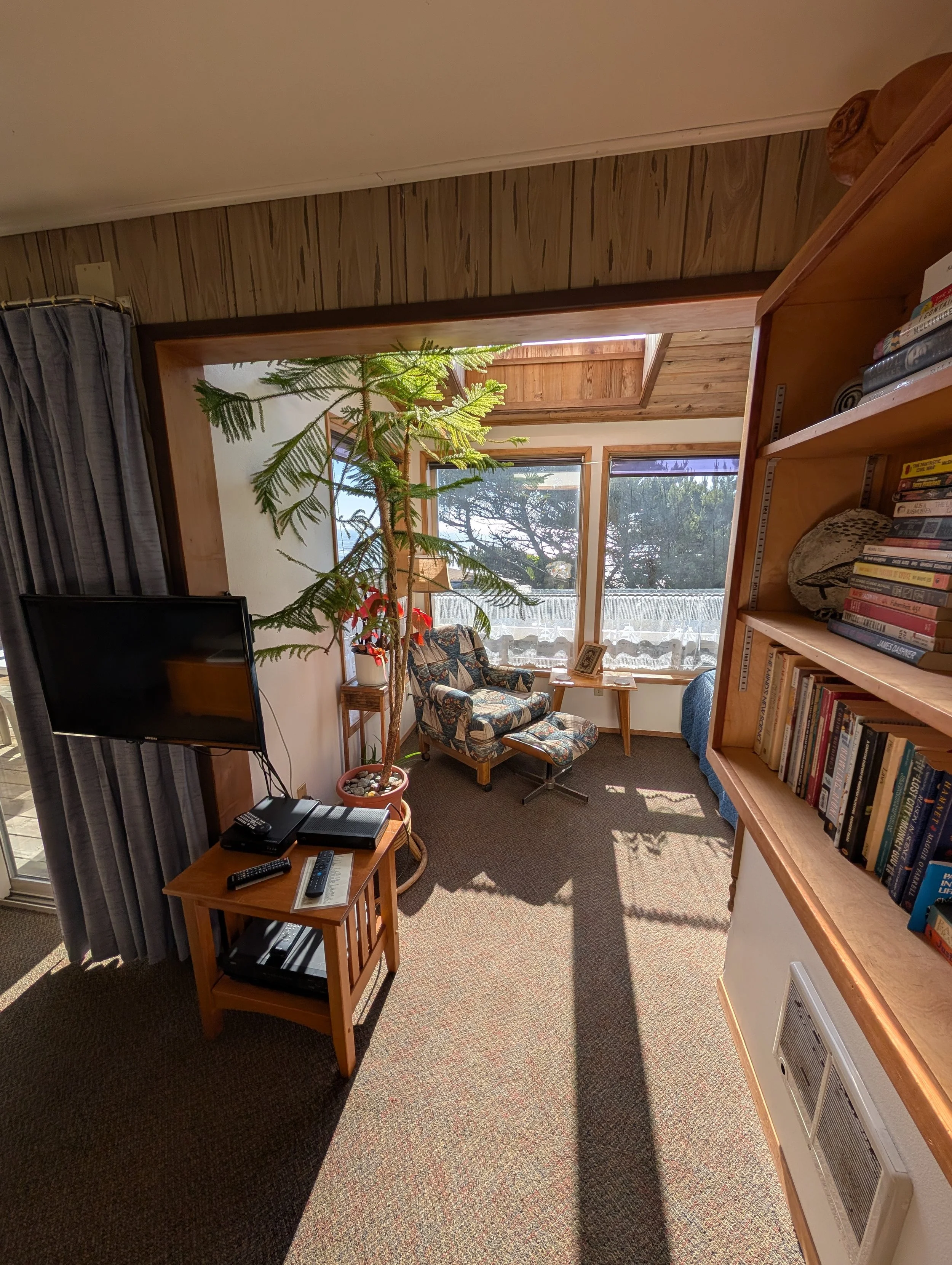 Living room with a window, a sofa, a plant, a bookshelf filled with books, and a small wooden table with electronic devices and remote controls.