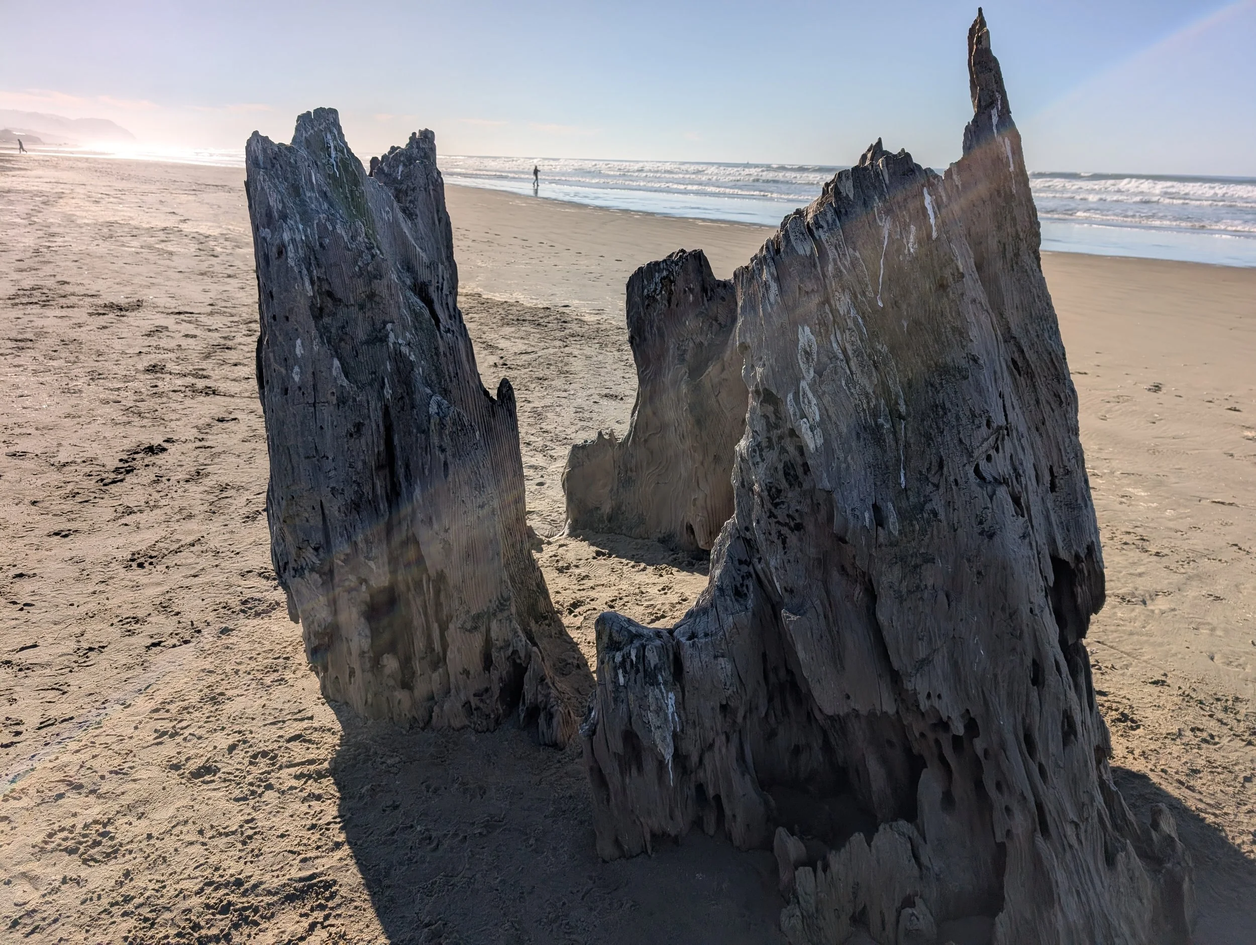 The Big Stump! January 18, 2026