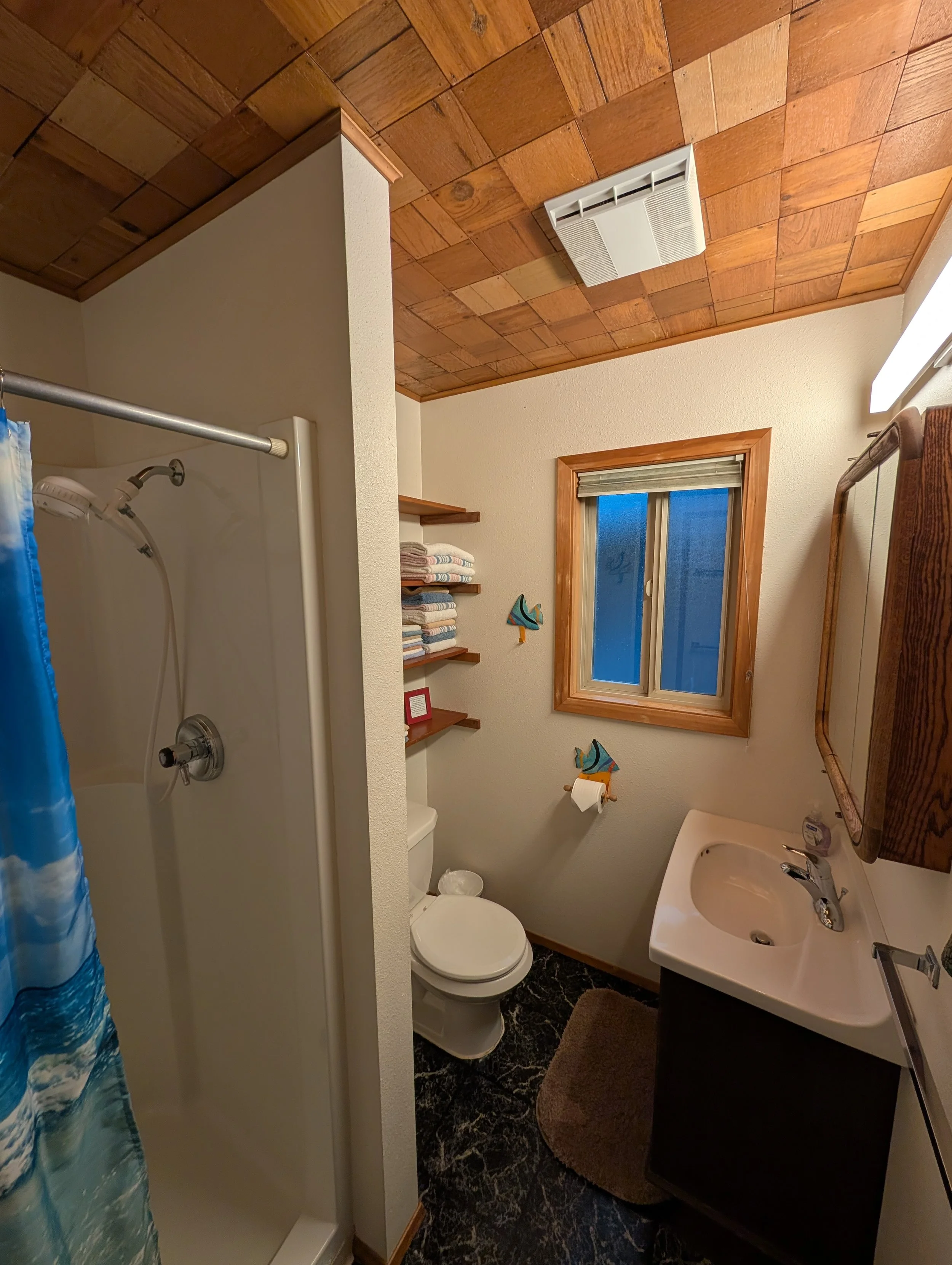 The downstairs bathroom features a walk-in shower. 

(Image taken on 11/5/2025 using 0.5x magnification)