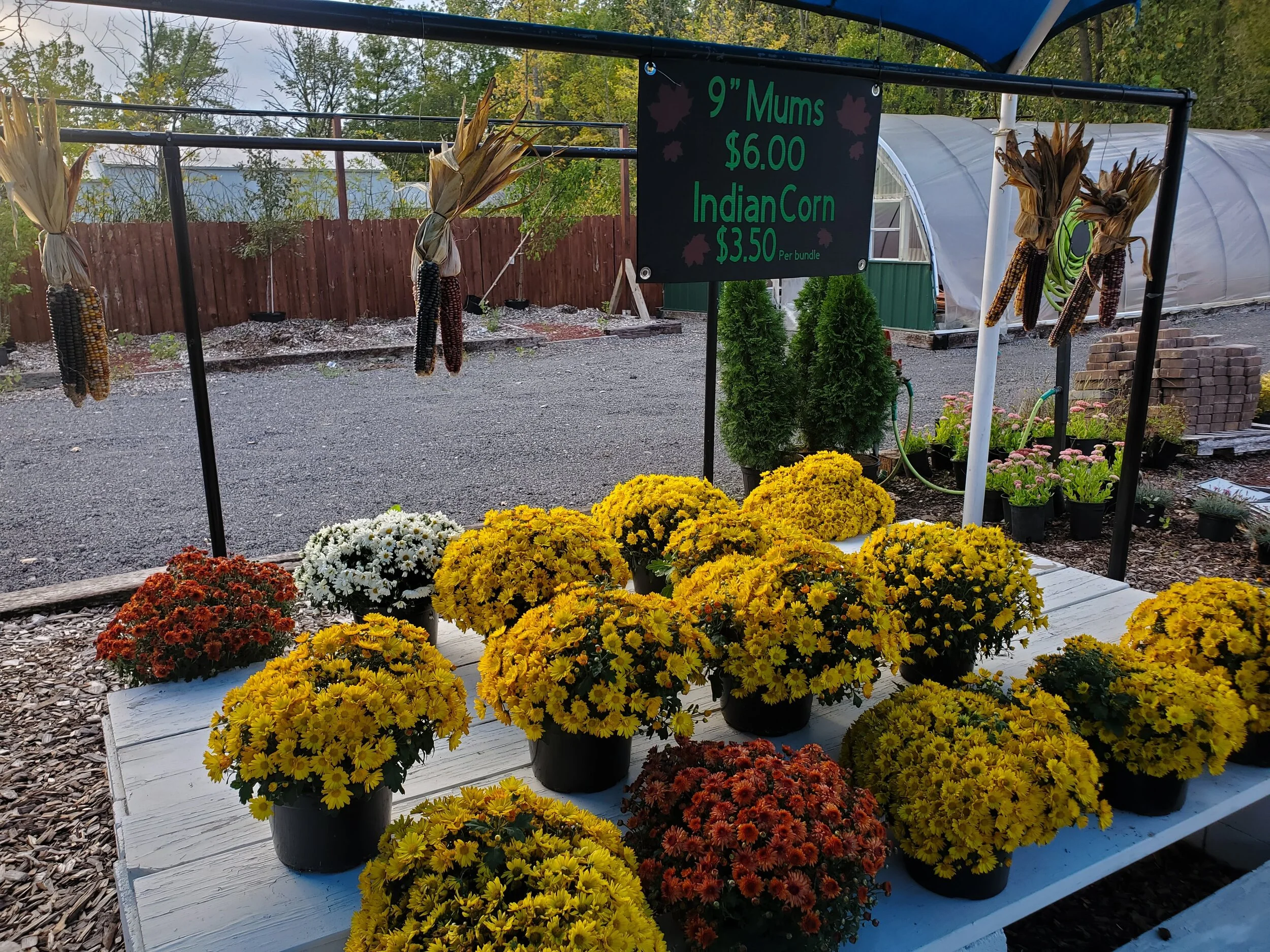 Nursery Products — Marion Mulch & More