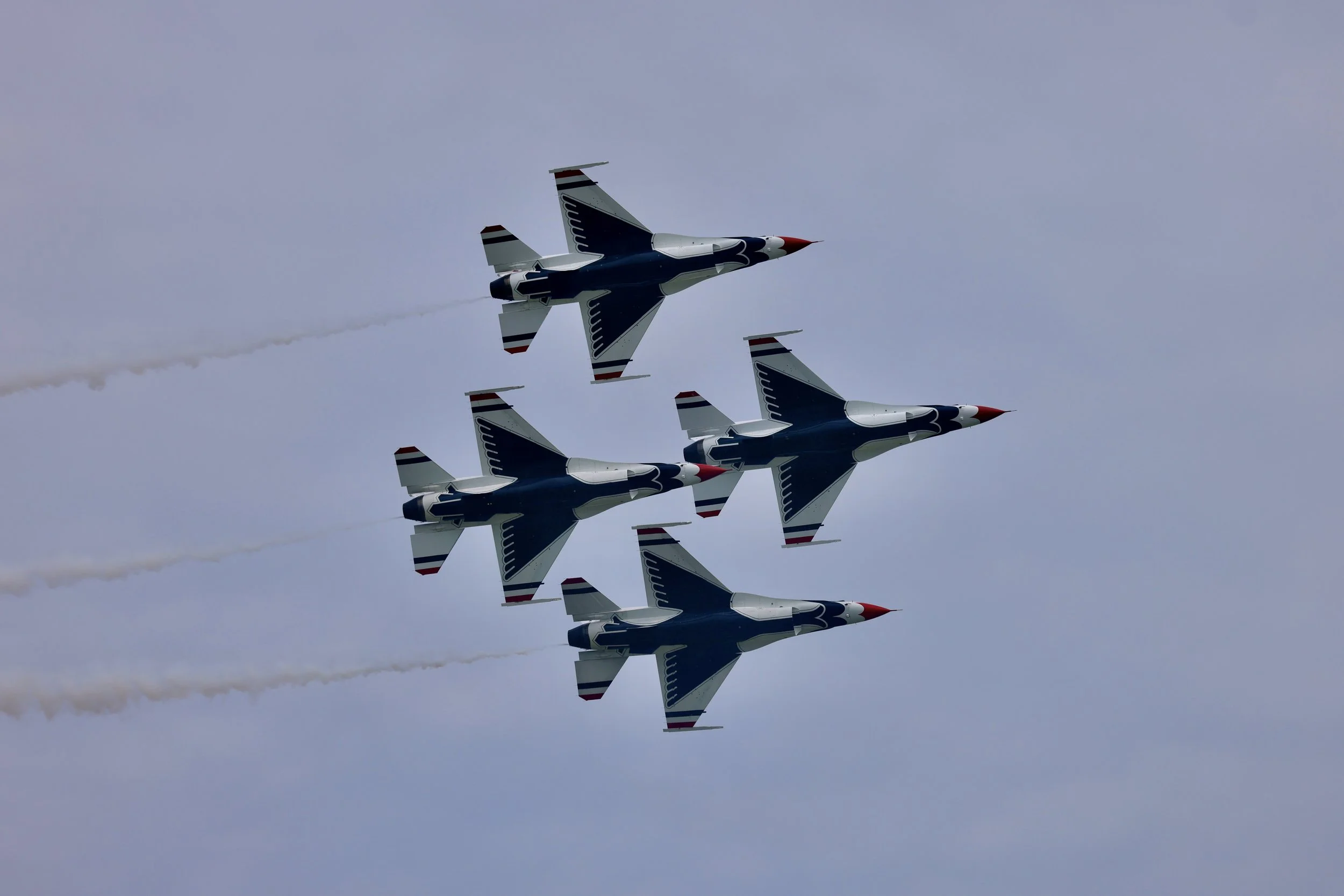 364A4146.JPG