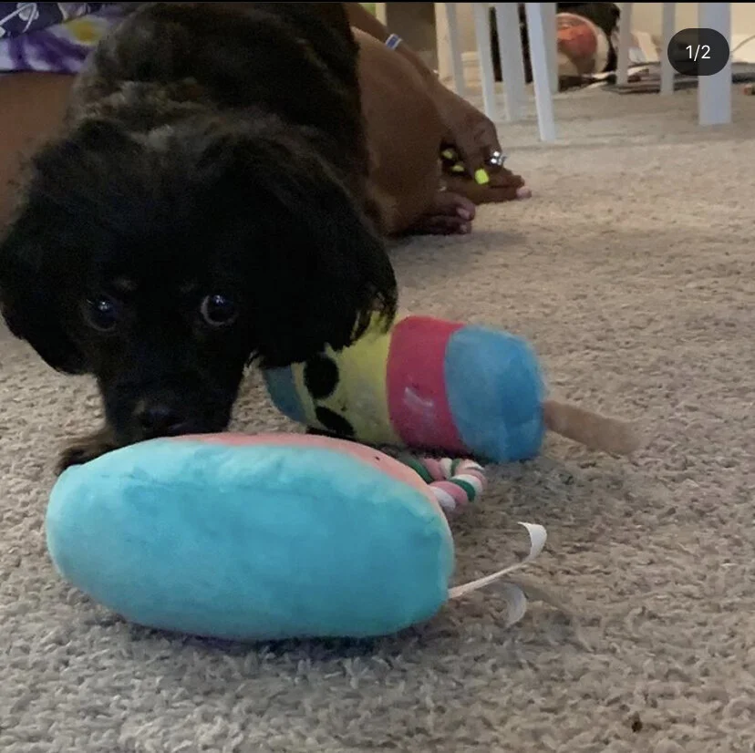 Keiko.jpg