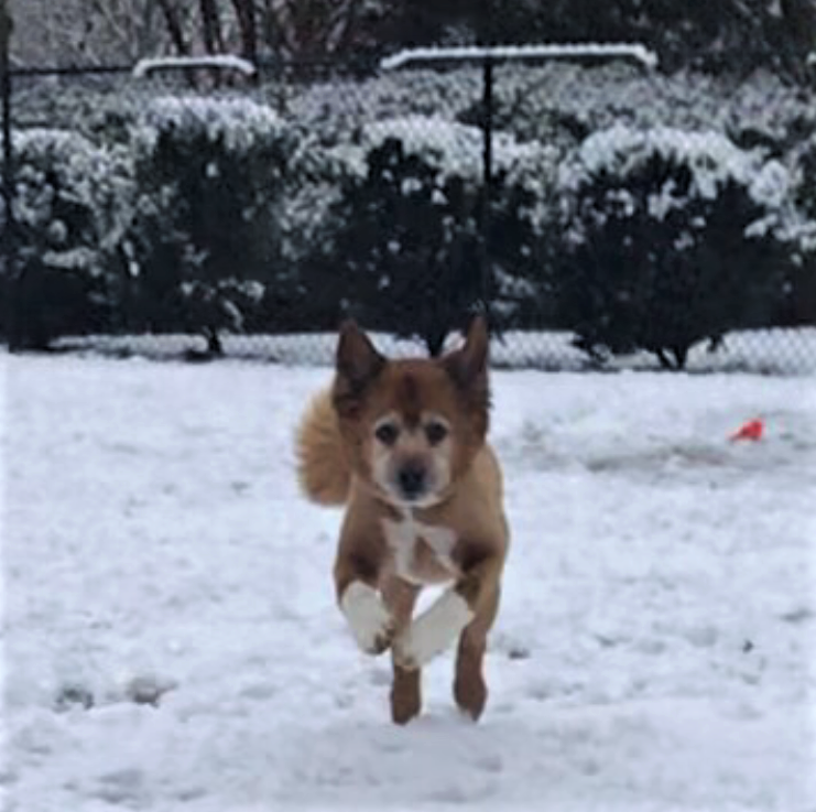 Spike in Snow 3 (2).PNG