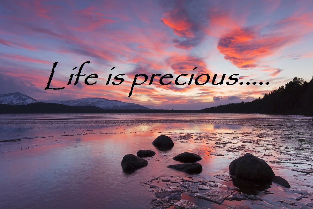 Life is precious.jpg