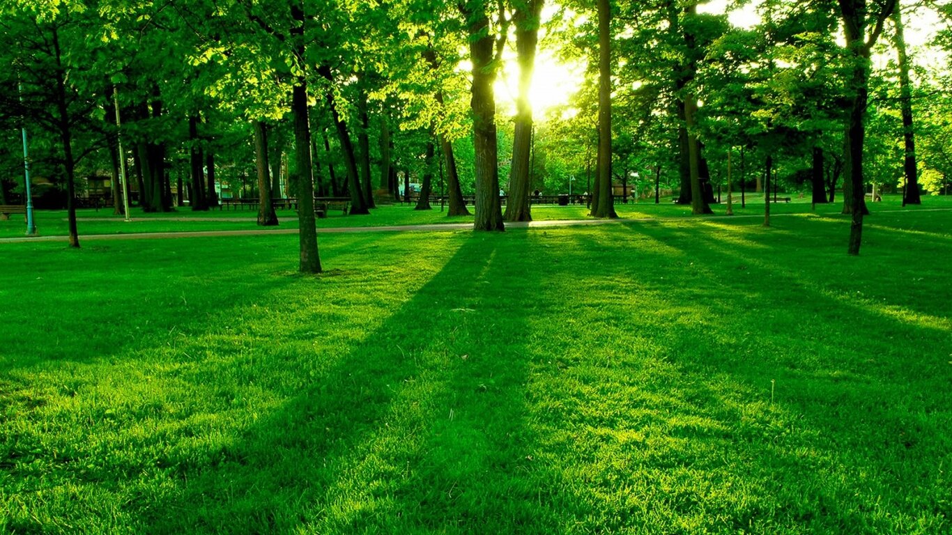 Green is the colour of hope
