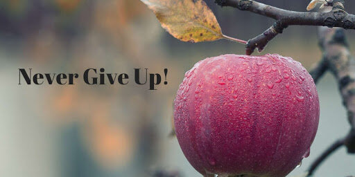 Never give up.jpg