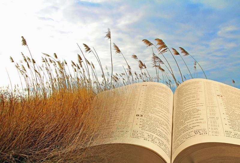 open bible.jpg