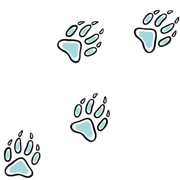 A line drawing of wolf paw prints.