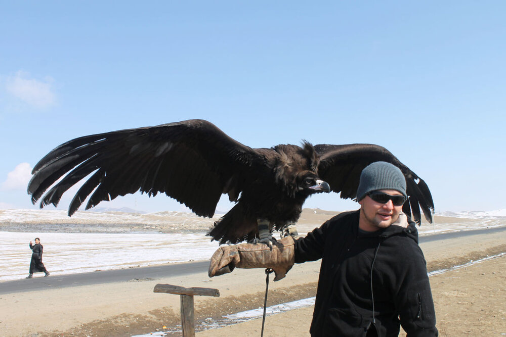 vulture 2012.jpg
