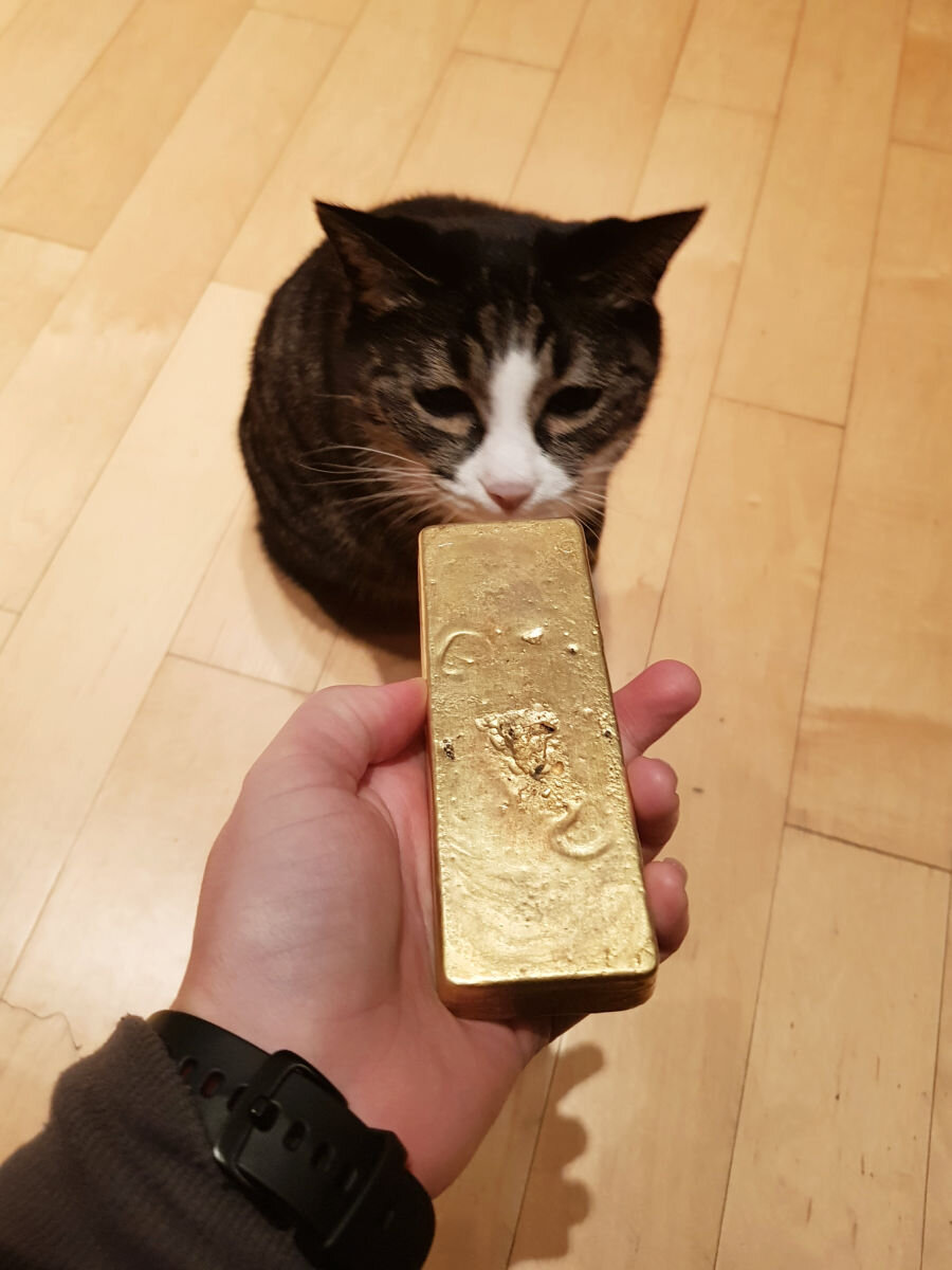 7.j gold n cat 2018.jpg