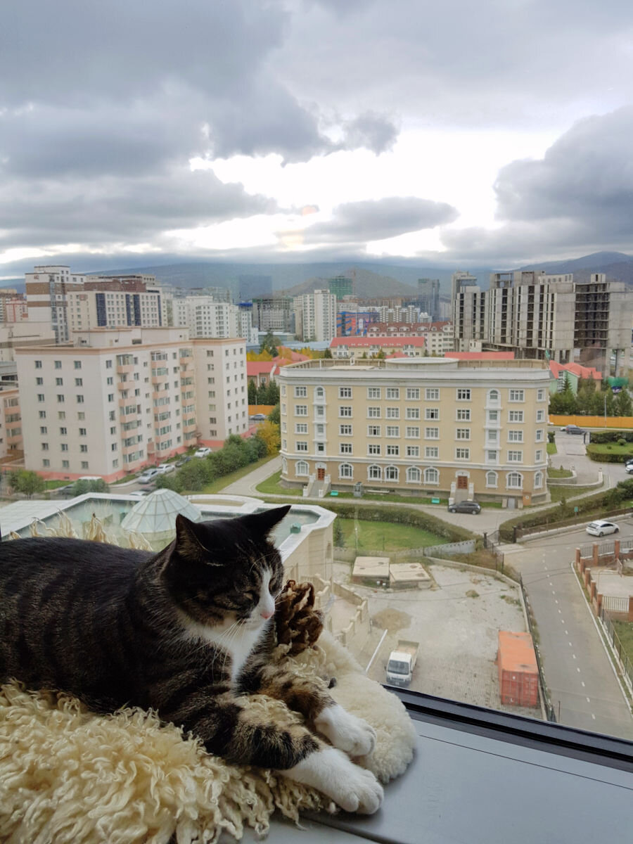 4.d View from Embassy Residence Ulaanbaatar.jpg