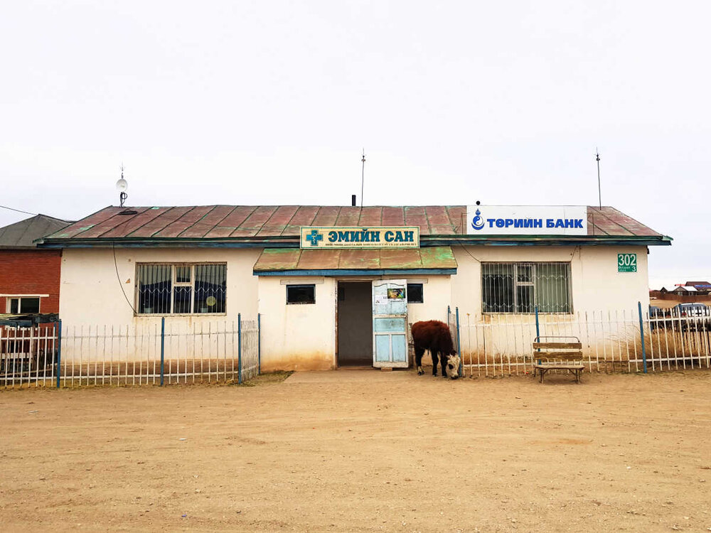 Cow at the bank.jpg