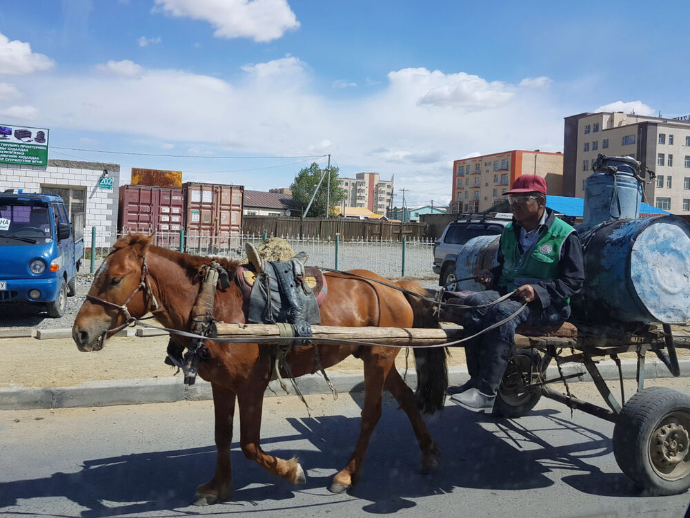 horse cart Bayankhongor.jpg