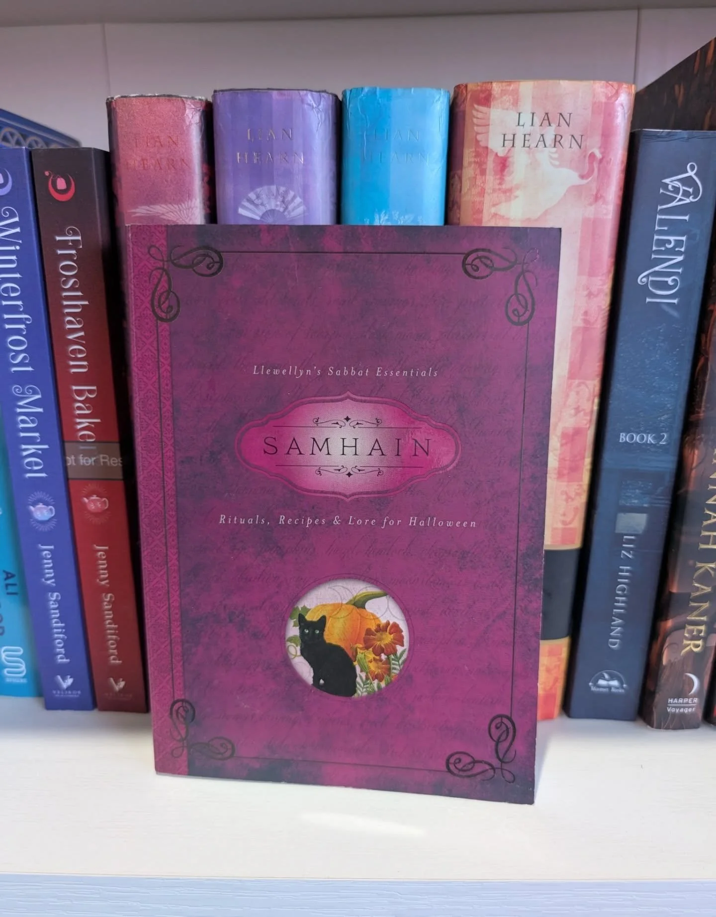 🎃What are you reading this Halloween weekend? 💀

This is my selection of witchy and divination reads for the weekend! It's a good time of year for a spot of divination 🔮

#halloween #witchyreads #divination #halloweenreads #runes #samhain #selfcar