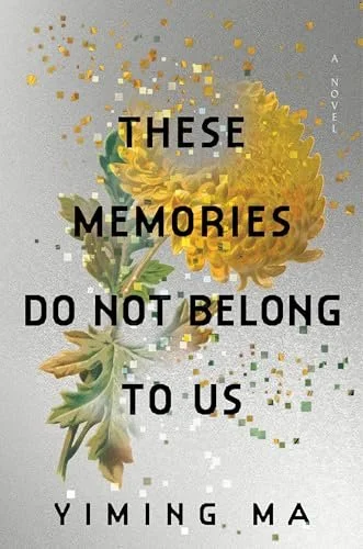 These Memories Do Not Belong to Us.jpg