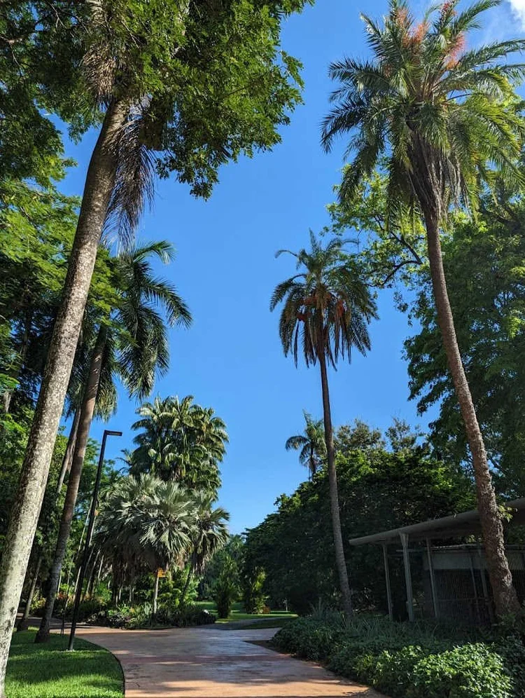 Explore the best of Darwin, Australia in just seven days! — Jenny Sandiford