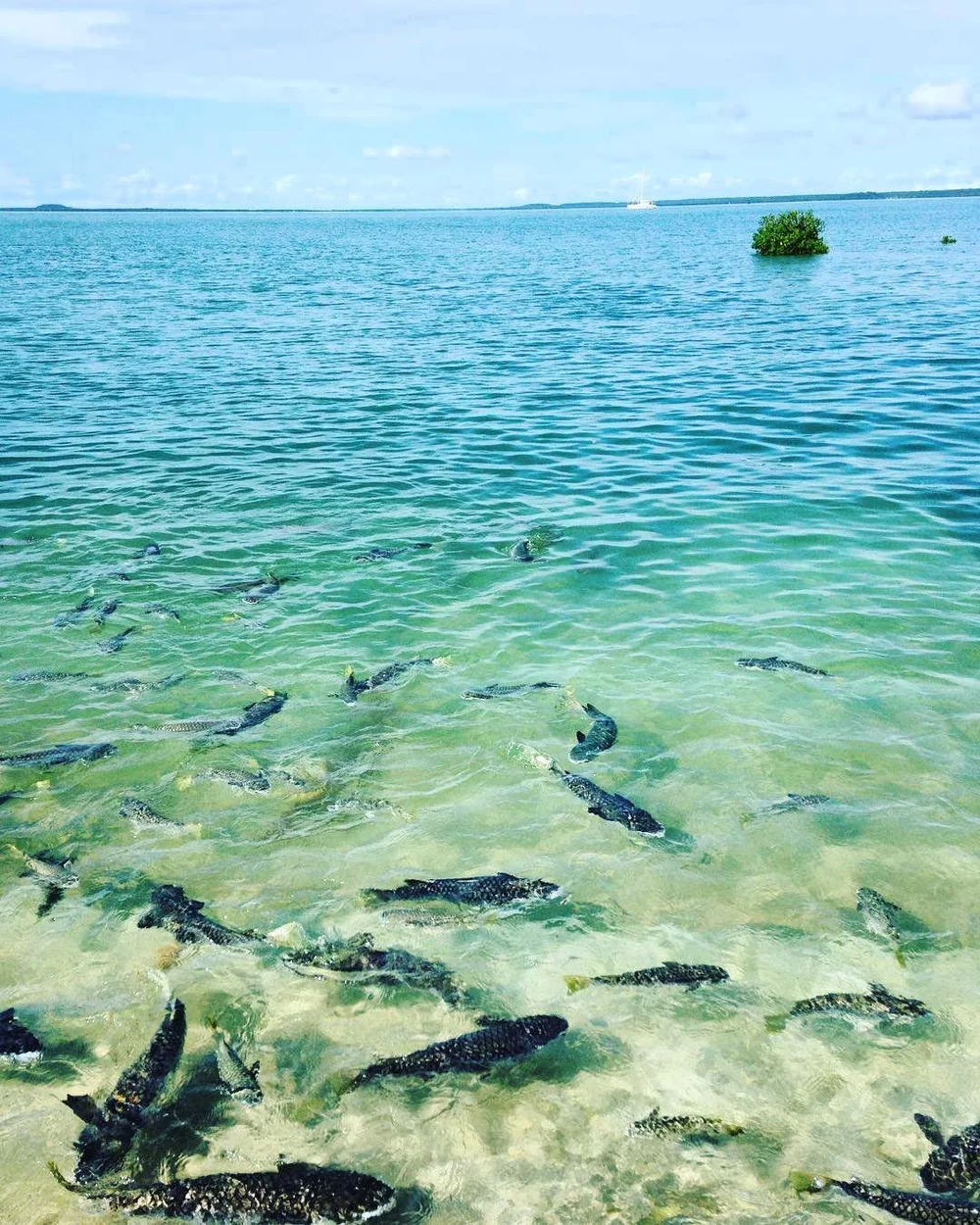 Top 10 Things to Do in Darwin, Australia! — Jenny Sandiford