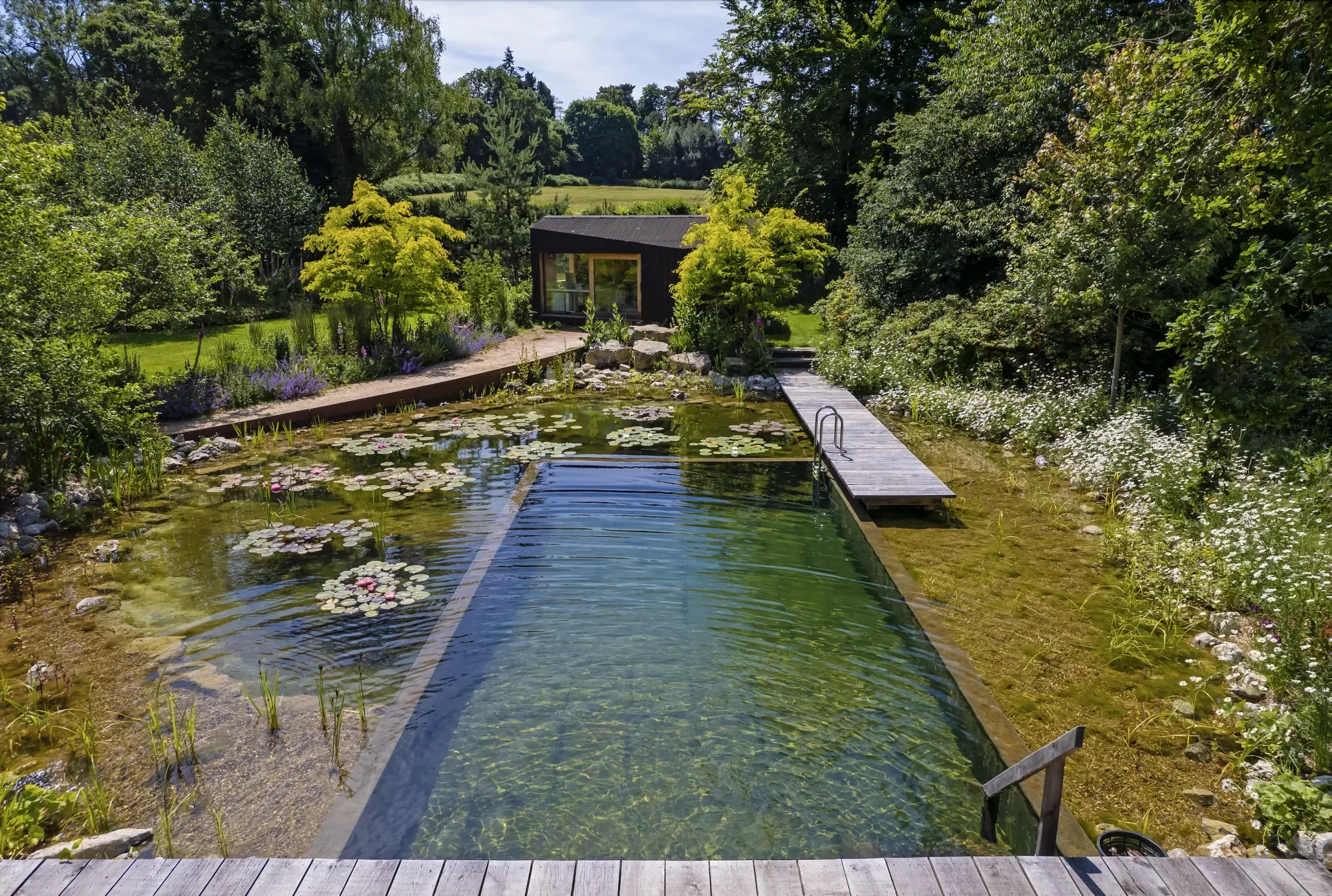 Pond.webp