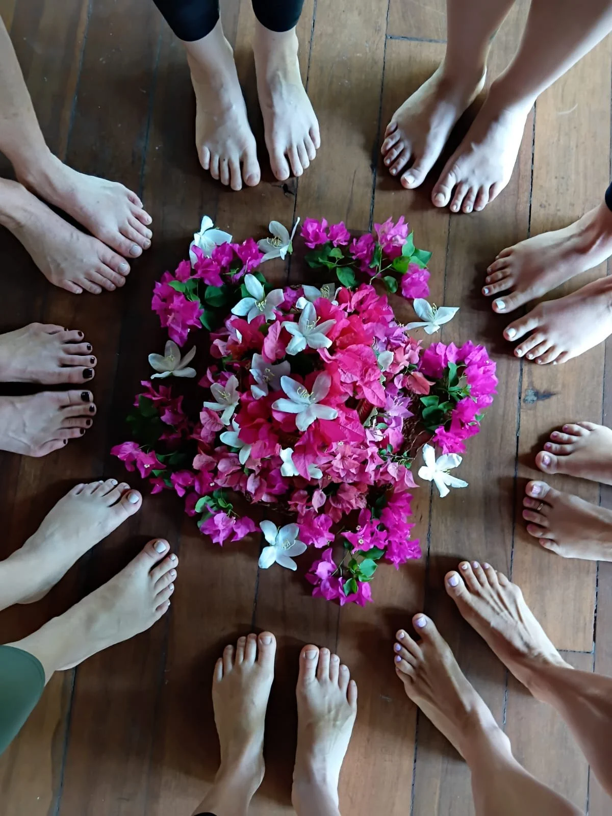 Sri Lanka Yoga Retreat 2026.jpg