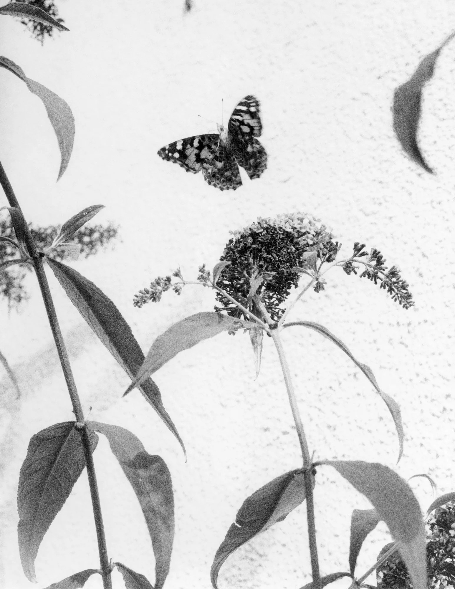 Jochen	Lempert