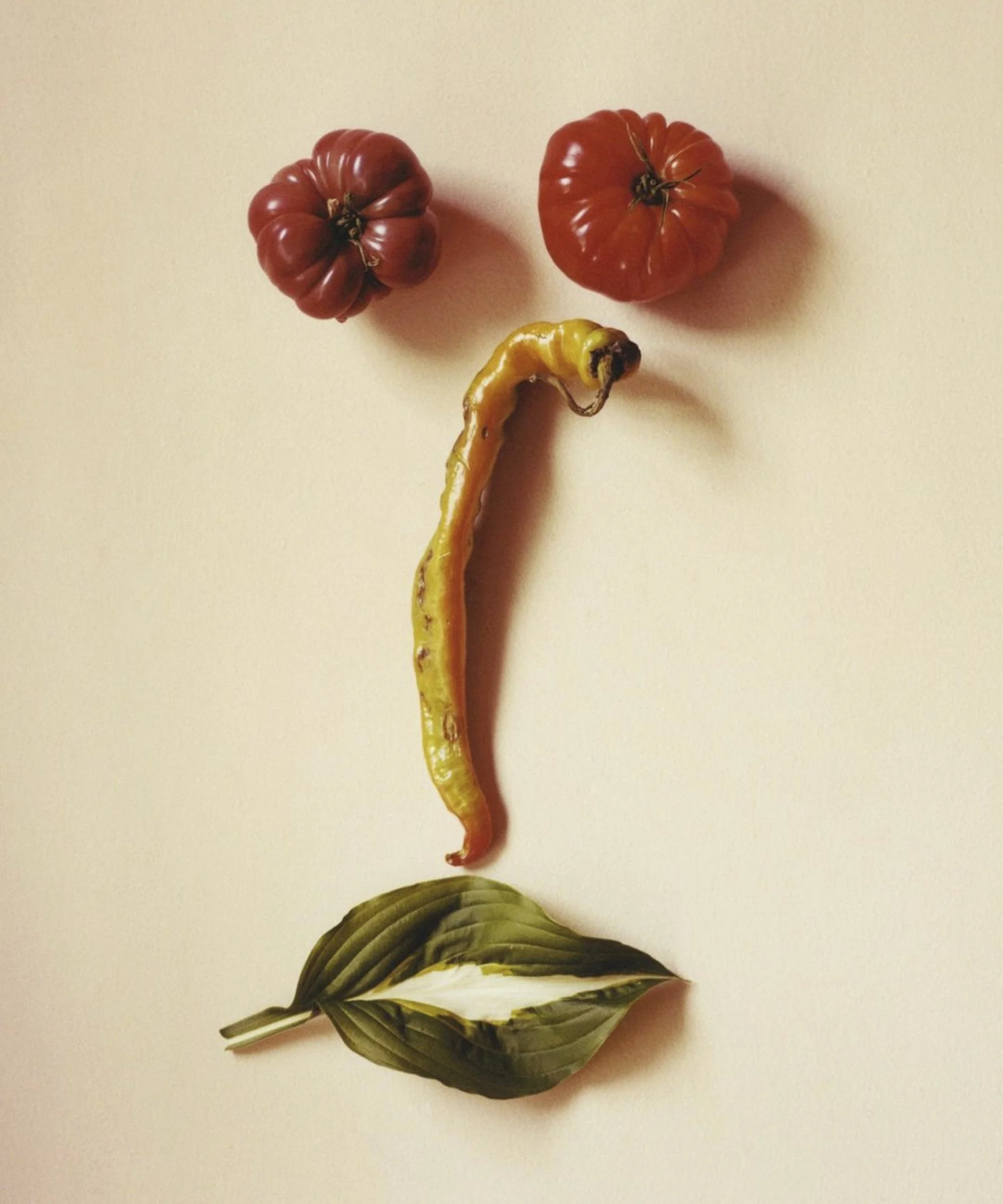 Peter Ash Lee