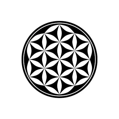 Graphic of the Flower of Life symbol – interlocking circles forming a sacred geometric pattern