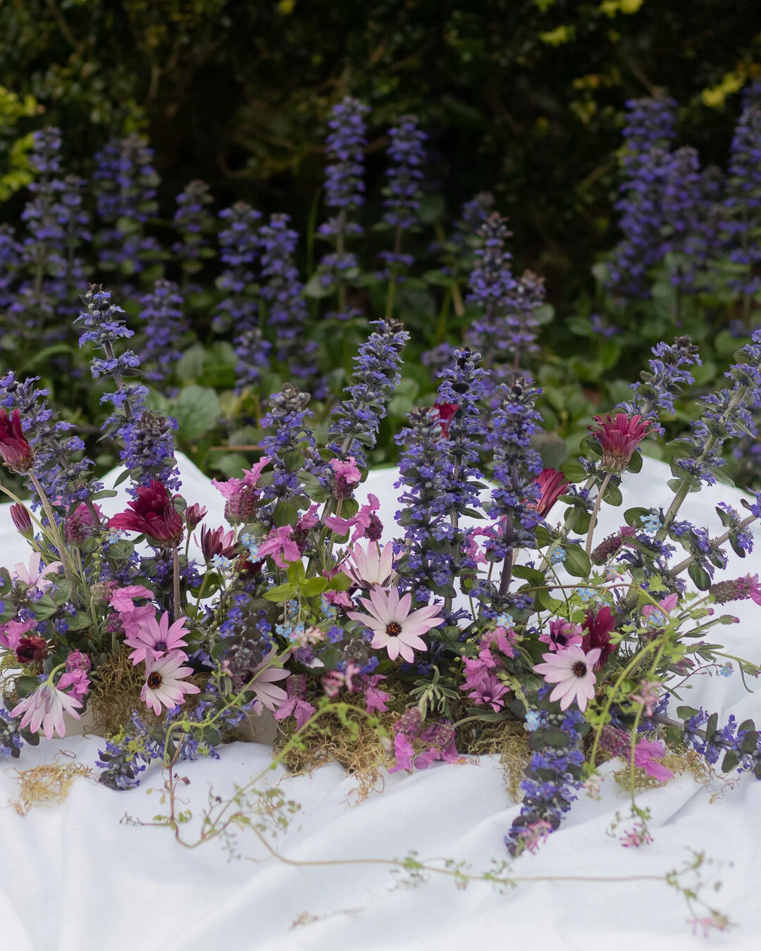 IMG_8703.ig-PORTRAIT FOR INSTA-2.jpg