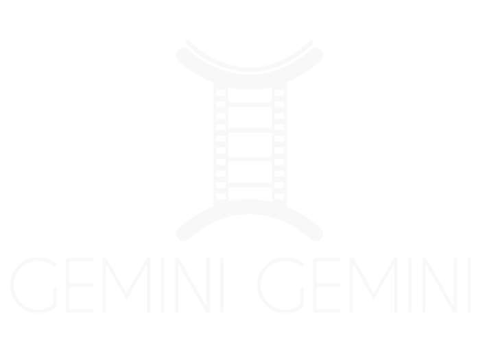Gemini Gemini