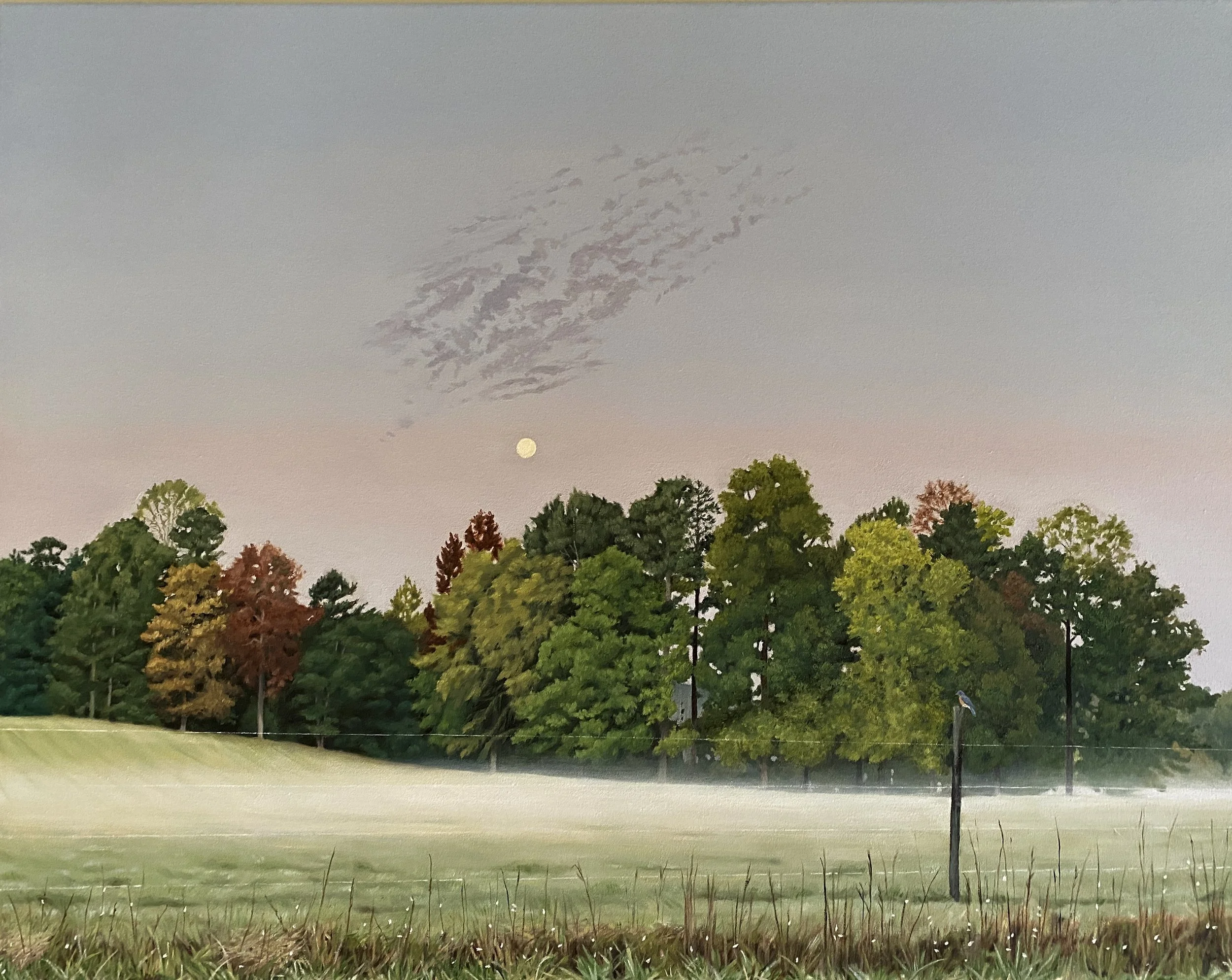 Moon over horse farm - October 21, 2021  7:24 am  16 x 20 in.  oil on stretched canvas  2022 (sold)