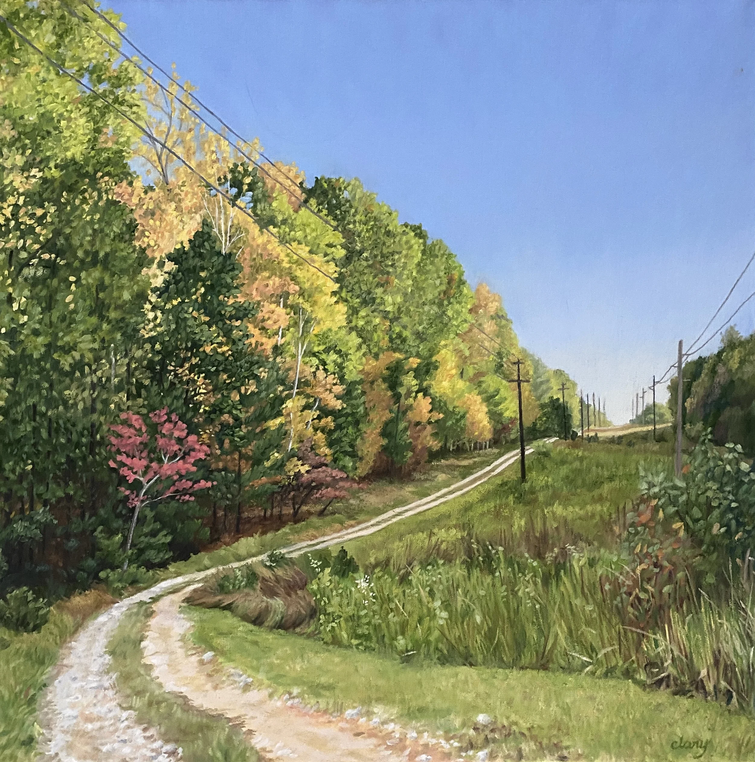 Yonder Trail - October 21, 2025  5:19 pm 
16 x 16 in.  oil on canvas   2025