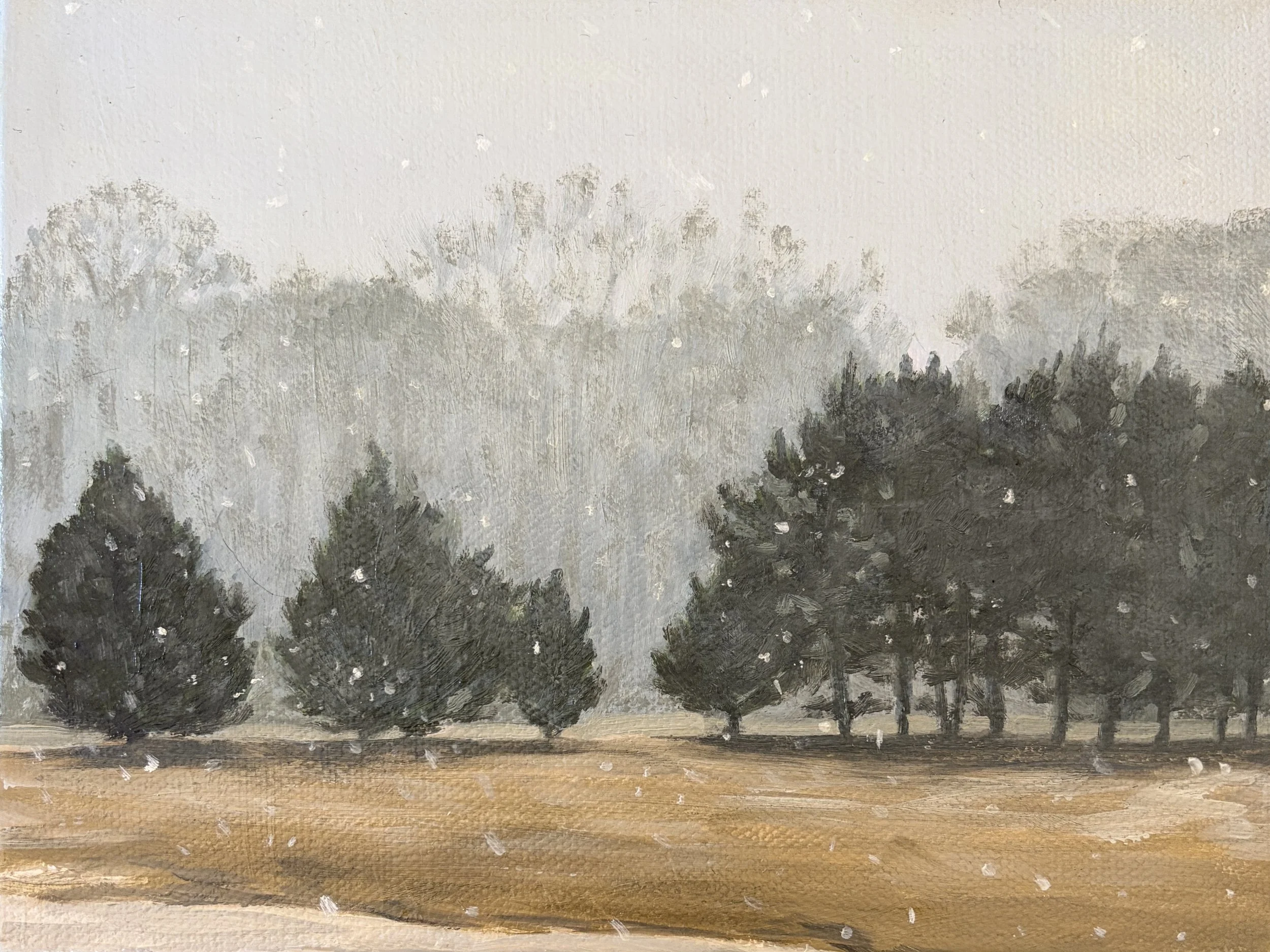 Carolina snowfall   6 x 8"  $70