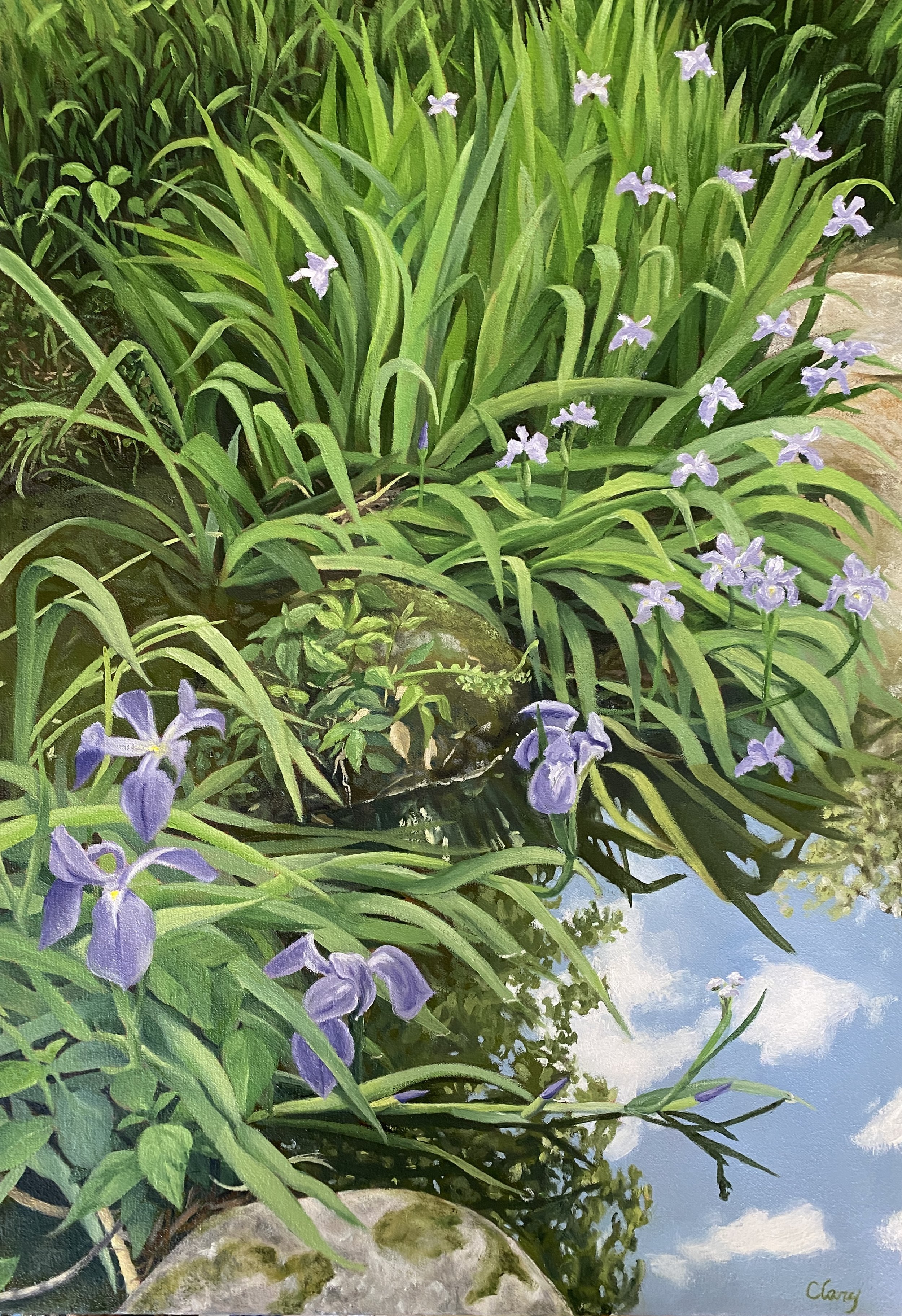 Irises for Nancy (Duke Gardens)- April 21, 2023  4:57 pm  20 x 14 in.  oil on stretched canvas  2023  (NFS)