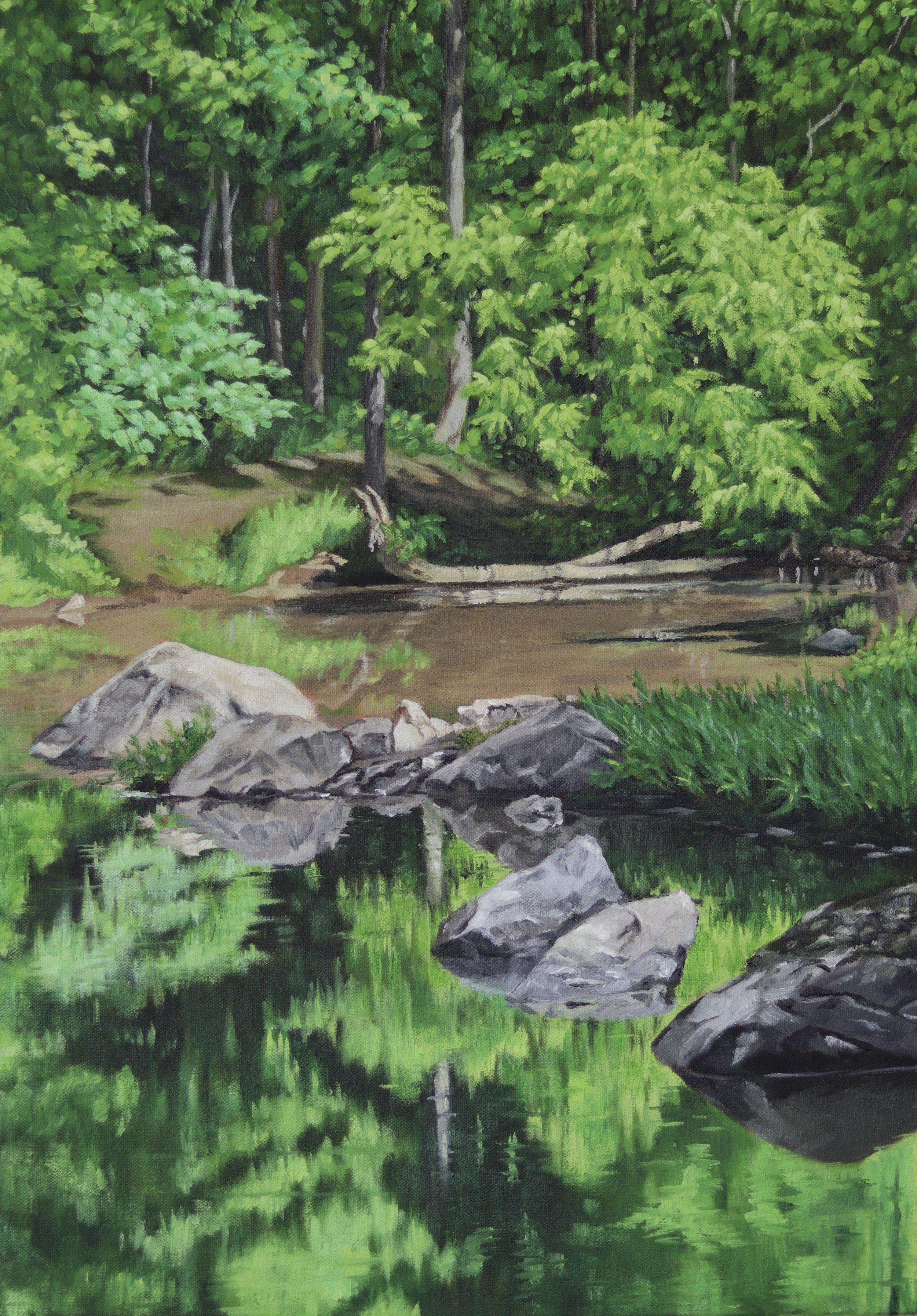 Calm water - Eno River  June 24, 2021  9:38 am  20 x 14 in.  oil on stretched canvas  2021