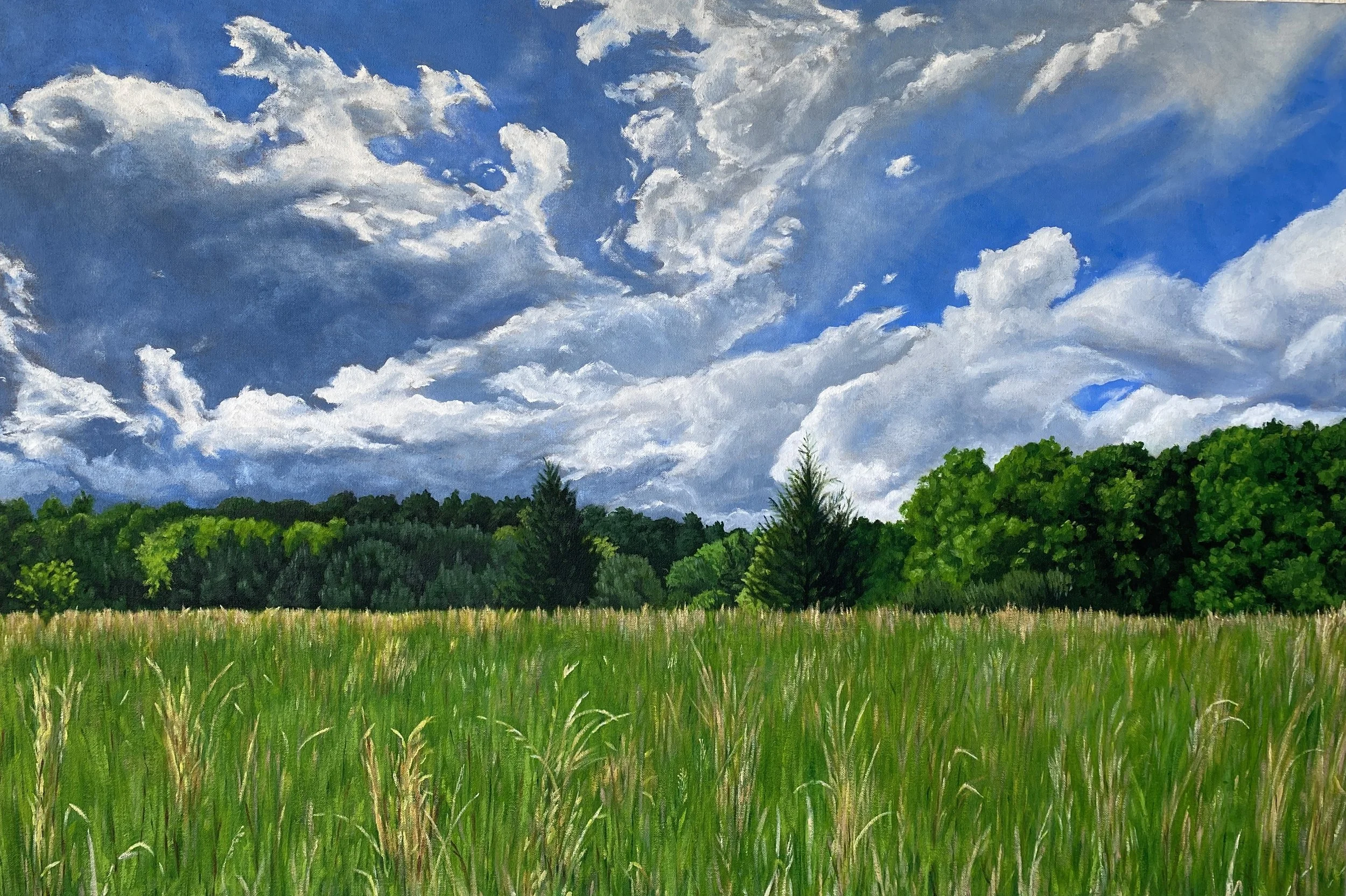 Springtime in the field   20 x 30 in.  I was working on this painting during the Studio Tour, and a couple asked if they could buy it when it was done.  They make some suggestions in keeping with their vision for the finished work, and I was able to 
